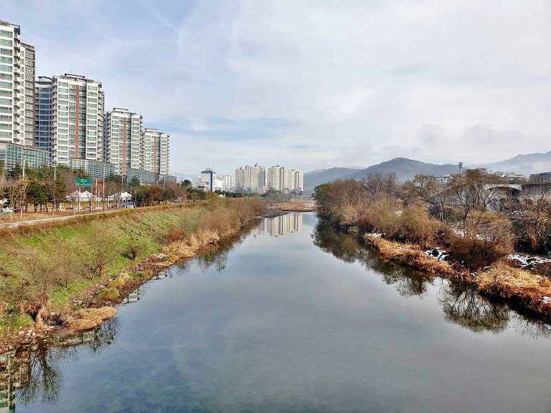 남양주 반려견 겨울 나들이 명소, 강아지와 함께 산책하기 좋은 곳 추천