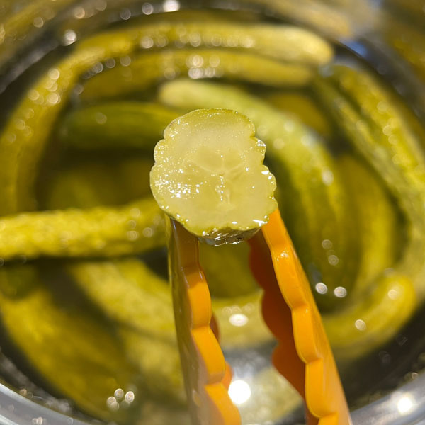 오이지 숙성기간 총정리