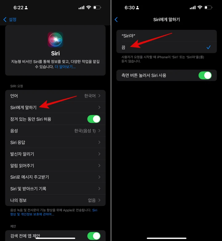 아이폰-시리-설정
