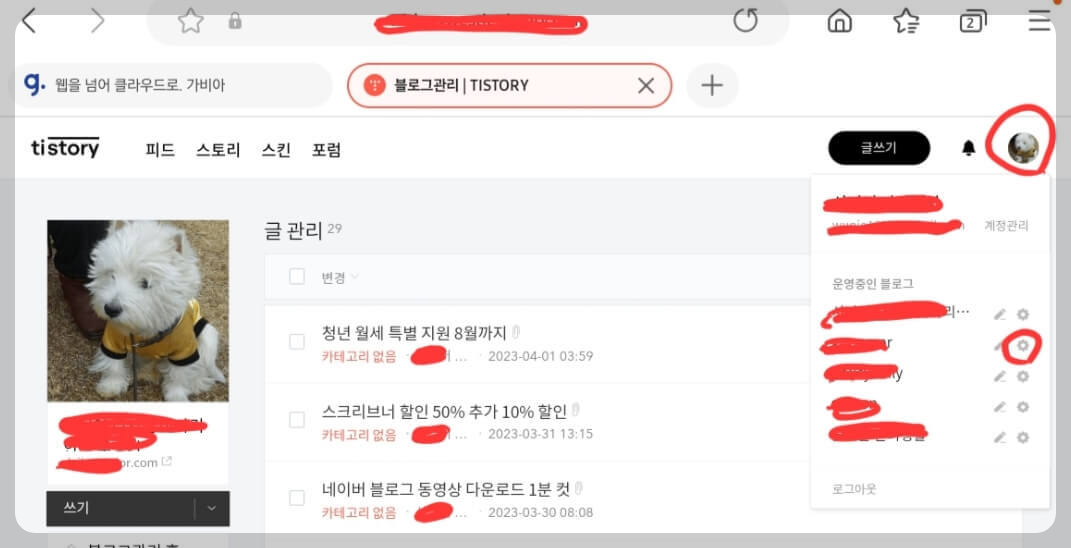 하위 블로그와 하위 도메인 연결까지 단 5분