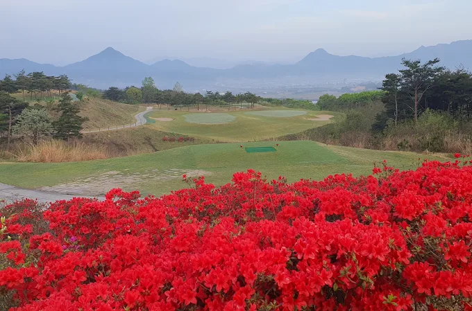 경남 거창컨트리클럽 (거창CC) 소개 및 이용방법