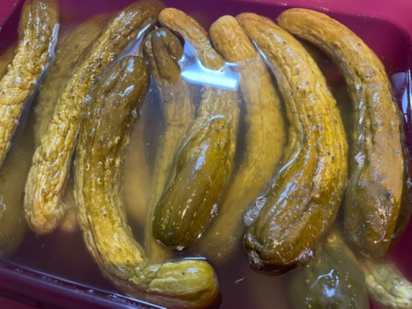 오이지 숙성기간 - 오이지에 식힌 소금물, 발효 국물 붓기