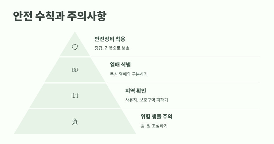 산딸기 수확시기 베스트 타이밍 9