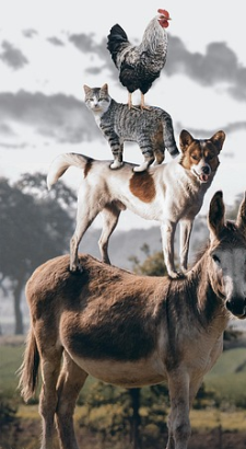 말뚝박기: 가장 위험했던 전통 놀이?