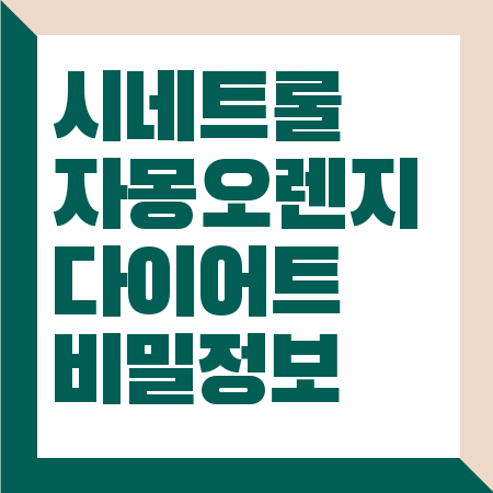 시네트롤 자몽오렌지 다이어트