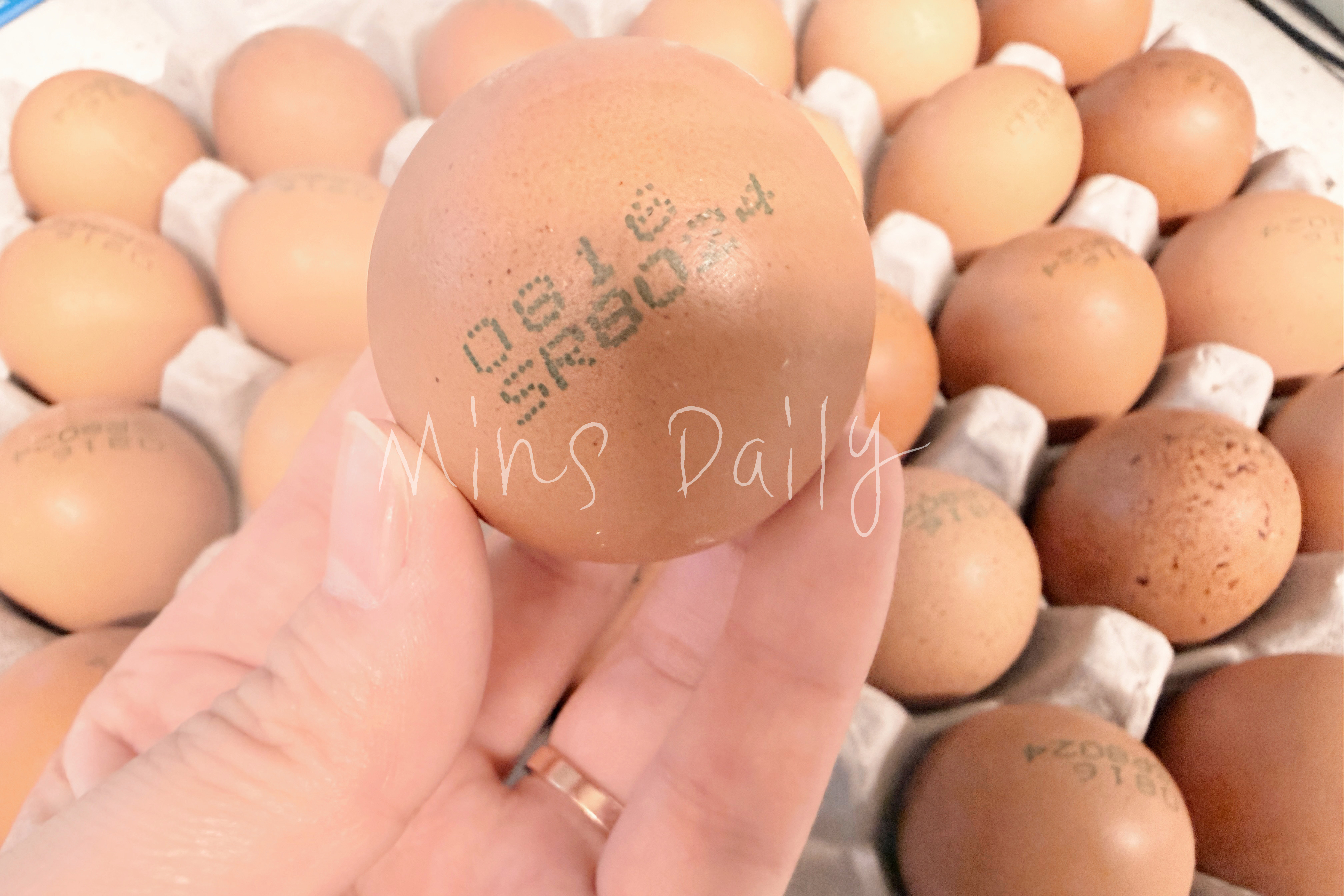 계란 유통기한