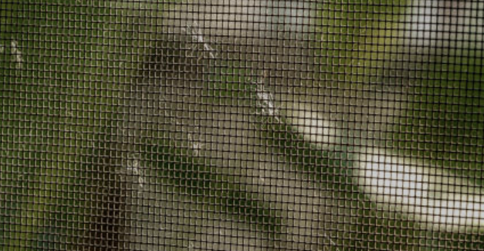 방충망 교체비용&amp;#44; 방충망 셀프교체&amp;#44; 아파트 방충망 교체비용&amp;#44; 방충망 교체방법&amp;#44; 방충망 설치&amp;#44; 방충망 가격&amp;#44; 미세 방충망 가격&amp;#44; 현관 방충망 설치 가격&amp;#44; 베란다 방충망 교체비용&amp;#44; 롤 방충망 가격&amp;#44; 롤 방충망 교체&amp;#44; 방충망 문&amp;#44; 창문 방충망 교체&amp;#44; 창문 방충망 비용&amp;#44; 창문 방충망 설치팁&amp;#44; 방충망 교체비용&amp;#44; 방충망 셀프교체&amp;#44; 아파트 방충망 교체비용&amp;#44; 방충망 교체방법&amp;#44; 방충망 설치&amp;#44; 방충망 가격&amp;#44; 미세 방충망 가격&amp;#44; 현관 방충망 설치 가격&amp;#44; 베란다 방충망 교체비용&amp;#44; 롤 방충망 가격&amp;#44; 롤 방충망 교체&amp;#44; 방충망 문&amp;#44; 창문 방충망 교체&amp;#44; 창문 방충망 비용&amp;#44; 창문 방충망 설치팁&amp;#44; 방충망 교체비용&amp;#44; 방충망 셀프교체&amp;#44; 아파트 방충망 교체비용&amp;#44; 방충망 교체방법&amp;#44; 방충망 설치&amp;#44; 방충망 가격&amp;#44; 미세 방충망 가격&amp;#44; 현관 방충망 설치 가격&amp;#44; 베란다 방충망 교체비용&amp;#44; 롤 방충망 가격&amp;#44; 롤 방충망 교체&amp;#44; 방충망 문&amp;#44; 창문 방충망 교체&amp;#44; 창문 방충망 비용&amp;#44; 창문 방충망 설치팁&amp;#44; 방충망 교체비용&amp;#44; 방충망 셀프교체&amp;#44; 아파트 방충망 교체비용&amp;#44; 방충망 교체방법&amp;#44; 방충망 설치&amp;#44; 방충망 가격&amp;#44; 미세 방충망 가격&amp;#44; 현관 방충망 설치 가격&amp;#44; 베란다 방충망 교체비용&amp;#44; 롤 방충망 가격&amp;#44; 롤 방충망 교체&amp;#44; 방충망 문&amp;#44; 창문 방충망 교체&amp;#44; 창문 방충망 비용&amp;#44; 창문 방충망 설치팁&amp;#44; 방충망 교체비용&amp;#44; 방충망 셀프교체&amp;#44; 아파트 방충망 교체비용&amp;#44; 방충망 교체방법&amp;#44; 방충망 설치&amp;#44; 방충망 가격&amp;#44; 미세 방충망 가격&amp;#44; 현관 방충망 설치 가격&amp;#44; 베란다 방충망 교체비용&amp;#44; 롤 방충망 가격&amp;#44; 롤 방충망 교체&amp;#44; 방충망 문&amp;#44; 창문 방충망 교체&amp;#44; 창문 방충망 비용&amp;#44; 창문 방충망 설치팁&amp;#44; 방충망 교체비용&amp;#44; 방충망 셀프교체&amp;#44; 아파트 방충망 교체비용&amp;#44; 방충망 교체방법&amp;#44; 방충망 설치&amp;#44; 방충망 가격&amp;#44; 미세 방충망 가격&amp;#44; 현관 방충망 설치 가격&amp;#44; 베란다 방충망 교체비용&amp;#44; 롤 방충망 가격&amp;#44; 롤 방충망 교체&amp;#44; 방충망 문&amp;#44; 창문 방충망 교체&amp;#44; 창문 방충망 비용&amp;#44; 창문 방충망 설치팁&amp;#44; 방충망 교체비용&amp;#44; 방충망 셀프교체&amp;#44; 아파트 방충망 교체비용&amp;#44; 방충망 교체방법&amp;#44; 방충망 설치&amp;#44; 방충망 가격&amp;#44; 미세 방충망 가격&amp;#44; 현관 방충망 설치 가격&amp;#44; 베란다 방충망 교체비용&amp;#44; 롤 방충망 가격&amp;#44; 롤 방충망 교체&amp;#44; 방충망 문&amp;#44; 창문 방충망 교체&amp;#44; 창문 방충망 비용&amp;#44; 창문 방충망 설치팁&amp;#44; 방충망 교체비용&amp;#44; 방충망 셀프교체&amp;#44; 아파트 방충망 교체비용&amp;#44; 방충망 교체방법&amp;#44; 방충망 설치&amp;#44; 방충망 가격&amp;#44; 미세 방충망 가격&amp;#44; 현관 방충망 설치 가격&amp;#44; 베란다 방충망 교체비용&amp;#44; 롤 방충망 가격&amp;#44; 롤 방충망 교체&amp;#44; 방충망 문&amp;#44; 창문 방충망 교체&amp;#44; 창문 방충망 비용&amp;#44; 창문 방충망 설치팁&amp;#44; 방충망 교체비용&amp;#44; 방충망 셀프교체&amp;#44; 아파트 방충망 교체비용&amp;#44; 방충망 교체방법&amp;#44; 방충망 설치&amp;#44; 방충망 가격&amp;#44; 미세 방충망 가격&amp;#44; 현관 방충망 설치 가격&amp;#44; 베란다 방충망 교체비용&amp;#44; 롤 방충망 가격&amp;#44; 롤 방충망 교체&amp;#44; 방충망 문&amp;#44; 창문 방충망 교체&amp;#44; 창문 방충망 비용&amp;#44; 창문 방충망 설치팁&amp;#44; 방충망 교체비용&amp;#44; 방충망 셀프교체&amp;#44; 아파트 방충망 교체비용&amp;#44; 방충망 교체방법&amp;#44; 방충망 설치&amp;#44; 방충망 가격&amp;#44; 미세 방충망 가격&amp;#44; 현관 방충망 설치 가격&amp;#44; 베란다 방충망 교체비용&amp;#44; 롤 방충망 가격&amp;#44; 롤 방충망 교체&amp;#44; 방충망 문&amp;#44; 창문 방충망 교체&amp;#44; 창문 방충망 비용&amp;#44; 창문 방충망 설치팁&amp;#44; 방충망 교체비용&amp;#44; 방충망 셀프교체&amp;#44; 아파트 방충망 교체비용&amp;#44; 방충망 교체방법&amp;#44; 방충망 설치&amp;#44; 방충망 가격&amp;#44; 미세 방충망 가격&amp;#44; 현관 방충망 설치 가격&amp;#44; 베란다 방충망 교체비용&amp;#44; 롤 방충망 가격&amp;#44; 롤 방충망 교체&amp;#44; 방충망 문&amp;#44; 창문 방충망 교체&amp;#44; 창문 방충망 비용&amp;#44; 창문 방충망 설치팁&amp;#44; 방충망 교체비용&amp;#44; 방충망 셀프교체&amp;#44; 아파트 방충망 교체비용&amp;#44; 방충망 교체방법&amp;#44; 방충망 설치&amp;#44; 방충망 가격&amp;#44; 미세 방충망 가격&amp;#44; 현관 방충망 설치 가격&amp;#44; 베란다 방충망 교체비용&amp;#44; 롤 방충망 가격&amp;#44; 롤 방충망 교체&amp;#44; 방충망 문&amp;#44; 창문 방충망 교체&amp;#44; 창문 방충망 비용&amp;#44; 창문 방충망 설치팁&amp;#44; 방충망 교체비용&amp;#44; 방충망 셀프교체&amp;#44; 아파트 방충망 교체비용&amp;#44; 방충망 교체방법&amp;#44; 방충망 설치&amp;#44; 방충망 가격&amp;#44; 미세 방충망 가격&amp;#44; 현관 방충망 설치 가격&amp;#44; 베란다 방충망 교체비용&amp;#44; 롤 방충망 가격&amp;#44; 롤 방충망 교체&amp;#44; 방충망 문&amp;#44; 창문 방충망 교체&amp;#44; 창문 방충망 비용&amp;#44; 창문 방충망 설치팁&amp;#44; 방충망 교체비용&amp;#44; 방충망 셀프교체&amp;#44; 아파트 방충망 교체비용&amp;#44; 방충망 교체방법&amp;#44; 방충망 설치&amp;#44; 방충망 가격&amp;#44; 미세 방충망 가격&amp;#44; 현관 방충망 설치 가격&amp;#44; 베란다 방충망 교체비용&amp;#44; 롤 방충망 가격&amp;#44; 롤 방충망 교체&amp;#44; 방충망 문&amp;#44; 창문 방충망 교체&amp;#44; 창문 방충망 비용&amp;#44; 창문 방충망 설치팁&amp;#44; 방충망 교체비용&amp;#44; 방충망 셀프교체&amp;#44; 아파트 방충망 교체비용&amp;#44; 방충망 교체방법&amp;#44; 방충망 설치&amp;#44; 방충망 가격&amp;#44; 미세 방충망 가격&amp;#44; 현관 방충망 설치 가격&amp;#44; 베란다 방충망 교체비용&amp;#44; 롤 방충망 가격&amp;#44; 롤 방충망 교체&amp;#44; 방충망 문&amp;#44; 창문 방충망 교체&amp;#44; 창문 방충망 비용&amp;#44; 창문 방충망 설치팁&amp;#44; 방충망 교체비용&amp;#44; 방충망 셀프교체&amp;#44; 아파트 방충망 교체비용&amp;#44; 방충망 교체방법&amp;#44; 방충망 설치&amp;#44; 방충망 가격&amp;#44; 미세 방충망 가격&amp;#44; 현관 방충망 설치 가격&amp;#44; 베란다 방충망 교체비용&amp;#44; 롤 방충망 가격&amp;#44; 롤 방충망 교체&amp;#44; 방충망 문&amp;#44; 창문 방충망 교체&amp;#44; 창문 방충망 비용&amp;#44; 창문 방충망 설치팁&amp;#44; 방충망 교체비용&amp;#44; 방충망 셀프교체&amp;#44; 아파트 방충망 교체비용&amp;#44; 방충망 교체방법&amp;#44; 방충망 설치&amp;#44; 방충망 가격&amp;#44; 미세 방충망 가격&amp;#44; 현관 방충망 설치 가격&amp;#44; 베란다 방충망 교체비용&amp;#44; 롤 방충망 가격&amp;#44; 롤 방충망 교체&amp;#44; 방충망 문&amp;#44; 창문 방충망 교체&amp;#44; 창문 방충망 비용&amp;#44; 창문 방충망 설치팁&amp;#44; 방충망 교체비용&amp;#44; 방충망 셀프교체&amp;#44; 아파트 방충망 교체비용&amp;#44; 방충망 교체방법&amp;#44; 방충망 설치&amp;#44; 방충망 가격&amp;#44; 미세 방충망 가격&amp;#44; 현관 방충망 설치 가격&amp;#44; 베란다 방충망 교체비용&amp;#44; 롤 방충망 가격&amp;#44; 롤 방충망 교체&amp;#44; 방충망 문&amp;#44; 창문 방충망 교체&amp;#44; 창문 방충망 비용&amp;#44; 창문 방충망 설치팁&amp;#44; 방충망 교체비용&amp;#44; 방충망 셀프교체&amp;#44; 아파트 방충망 교체비용&amp;#44; 방충망 교체방법&amp;#44; 방충망 설치&amp;#44; 방충망 가격&amp;#44; 미세 방충망 가격&amp;#44; 현관 방충망 설치 가격&amp;#44; 베란다 방충망 교체비용&amp;#44; 롤 방충망 가격&amp;#44; 롤 방충망 교체&amp;#44; 방충망 문&amp;#44; 창문 방충망 교체&amp;#44; 창문 방충망 비용&amp;#44; 창문 방충망 설치팁&amp;#44; 방충망 교체비용&amp;#44; 방충망 셀프교체&amp;#44; 아파트 방충망 교체비용&amp;#44; 방충망 교체방법&amp;#44; 방충망 설치&amp;#44; 방충망 가격&amp;#44; 미세 방충망 가격&amp;#44; 현관 방충망 설치 가격&amp;#44; 베란다 방충망 교체비용&amp;#44; 롤 방충망 가격&amp;#44; 롤 방충망 교체&amp;#44; 방충망 문&amp;#44; 창문 방충망 교체&amp;#44; 창문 방충망 비용&amp;#44; 창문 방충망 설치팁&amp;#44; 방충망 교체비용&amp;#44; 방충망 셀프교체&amp;#44; 아파트 방충망 교체비용&amp;#44; 방충망 교체방법&amp;#44; 방충망 설치&amp;#44; 방충망 가격&amp;#44; 미세 방충망 가격&amp;#44; 현관 방충망 설치 가격&amp;#44; 베란다 방충망 교체비용&amp;#44; 롤 방충망 가격&amp;#44; 롤 방충망 교체&amp;#44; 방충망 문&amp;#44; 창문 방충망 교체&amp;#44; 창문 방충망 비용&amp;#44; 창문 방충망 설치팁&amp;#44; 방충망 교체비용&amp;#44; 방충망 셀프교체&amp;#44; 아파트 방충망 교체비용&amp;#44; 방충망 교체방법&amp;#44; 방충망 설치&amp;#44; 방충망 가격&amp;#44; 미세 방충망 가격&amp;#44; 현관 방충망 설치 가격&amp;#44; 베란다 방충망 교체비용&amp;#44; 롤 방충망 가격&amp;#44; 롤 방충망 교체&amp;#44; 방충망 문&amp;#44; 창문 방충망 교체&amp;#44; 창문 방충망 비용&amp;#44; 창문 방충망 설치팁&amp;#44; 방충망 교체비용&amp;#44; 방충망 셀프교체&amp;#44; 아파트 방충망 교체비용&amp;#44; 방충망 교체방법&amp;#44; 방충망 설치&amp;#44; 방충망 가격&amp;#44; 미세 방충망 가격&amp;#44; 현관 방충망 설치 가격&amp;#44; 베란다 방충망 교체비용&amp;#44; 롤 방충망 가격&amp;#44; 롤 방충망 교체&amp;#44; 방충망 문&amp;#44; 창문 방충망 교체&amp;#44; 창문 방충망 비용&amp;#44; 창문 방충망 설치팁&amp;#44; 방충망 교체비용&amp;#44; 방충망 셀프교체&amp;#44; 아파트 방충망 교체비용&amp;#44; 방충망 교체방법&amp;#44; 방충망 설치&amp;#44; 방충망 가격&amp;#44; 미세 방충망 가격&amp;#44; 현관 방충망 설치 가격&amp;#44; 베란다 방충망 교체비용&amp;#44; 롤 방충망 가격&amp;#44; 롤 방충망 교체&amp;#44; 방충망 문&amp;#44; 창문 방충망 교체&amp;#44; 창문 방충망 비용&amp;#44; 창문 방충망 설치팁&amp;#44; 방충망 교체비용&amp;#44; 방충망 셀프교체&amp;#44; 아파트 방충망 교체비용&amp;#44; 방충망 교체방법&amp;#44; 방충망 설치&amp;#44; 방충망 가격&amp;#44; 미세 방충망 가격&amp;#44; 현관 방충망 설치 가격&amp;#44; 베란다 방충망 교체비용&amp;#44; 롤 방충망 가격&amp;#44; 롤 방충망 교체&amp;#44; 방충망 문&amp;#44; 창문 방충망 교체&amp;#44; 창문 방충망 비용&amp;#44; 창문 방충망 설치팁&amp;#44; 방충망 교체비용&amp;#44; 방충망 셀프교체&amp;#44; 아파트 방충망 교체비용&amp;#44; 방충망 교체방법&amp;#44; 방충망 설치&amp;#44; 방충망 가격&amp;#44; 미세 방충망 가격&amp;#44; 현관 방충망 설치 가격&amp;#44; 베란다 방충망 교체비용&amp;#44; 롤 방충망 가격&amp;#44; 롤 방충망 교체&amp;#44; 방충망 문&amp;#44; 창문 방충망 교체&amp;#44; 창문 방충망 비용&amp;#44; 창문 방충망 설치팁&amp;#44; 방충망 교체비용&amp;#44; 방충망 셀프교체&amp;#44; 아파트 방충망 교체비용&amp;#44; 방충망 교체방법&amp;#44; 방충망 설치&amp;#44; 방충망 가격&amp;#44; 미세 방충망 가격&amp;#44; 현관 방충망 설치 가격&amp;#44; 베란다 방충망 교체비용&amp;#44; 롤 방충망 가격&amp;#44; 롤 방충망 교체&amp;#44; 방충망 문&amp;#44; 창문 방충망 교체&amp;#44; 창문 방충망 비용&amp;#44; 창문 방충망 설치팁&amp;#44; 방충망 교체비용&amp;#44; 방충망 셀프교체&amp;#44; 아파트 방충망 교체비용&amp;#44; 방충망 교체방법&amp;#44; 방충망 설치&amp;#44; 방충망 가격&amp;#44; 미세 방충망 가격&amp;#44; 현관 방충망 설치 가격&amp;#44; 베란다 방충망 교체비용&amp;#44; 롤 방충망 가격&amp;#44; 롤 방충망 교체&amp;#44; 방충망 문&amp;#44; 창문 방충망 교체&amp;#44; 창문 방충망 비용&amp;#44; 창문 방충망 설치팁&amp;#44; 방충망 교체비용&amp;#44; 방충망 셀프교체&amp;#44; 아파트 방충망 교체비용&amp;#44; 방충망 교체방법&amp;#44; 방충망 설치&amp;#44; 방충망 가격&amp;#44; 미세 방충망 가격&amp;#44; 현관 방충망 설치 가격&amp;#44; 베란다 방충망 교체비용&amp;#44; 롤 방충망 가격&amp;#44; 롤 방충망 교체&amp;#44; 방충망 문&amp;#44; 창문 방충망 교체&amp;#44; 창문 방충망 비용&amp;#44; 창문 방충망 설치팁&amp;#44; 방충망 교체비용&amp;#44; 방충망 셀프교체&amp;#44; 아파트 방충망 교체비용&amp;#44; 방충망 교체방법&amp;#44; 방충망 설치&amp;#44; 방충망 가격&amp;#44; 미세 방충망 가격&amp;#44; 현관 방충망 설치 가격&amp;#44; 베란다 방충망 교체비용&amp;#44; 롤 방충망 가격&amp;#44; 롤 방충망 교체&amp;#44; 방충망 문&amp;#44; 창문 방충망 교체&amp;#44; 창문 방충망 비용&amp;#44; 창문 방충망 설치팁&amp;#44; 방충망 교체비용&amp;#44; 방충망 셀프교체&amp;#44; 아파트 방충망 교체비용&amp;#44; 방충망 교체방법&amp;#44; 방충망 설치&amp;#44; 방충망 가격&amp;#44; 미세 방충망 가격&amp;#44; 현관 방충망 설치 가격&amp;#44; 베란다 방충망 교체비용&amp;#44; 롤 방충망 가격&amp;#44; 롤 방충망 교체&amp;#44; 방충망 문&amp;#44; 창문 방충망 교체&amp;#44; 창문 방충망 비용&amp;#44; 창문 방충망 설치팁&amp;#44; 방충망 교체비용&amp;#44; 방충망 셀프교체&amp;#44; 아파트 방충망 교체비용&amp;#44; 방충망 교체방법&amp;#44; 방충망 설치&amp;#44; 방충망 가격&amp;#44; 미세 방충망 가격&amp;#44; 현관 방충망 설치 가격&amp;#44; 베란다 방충망 교체비용&amp;#44; 롤 방충망 가격&amp;#44; 롤 방충망 교체&amp;#44; 방충망 문&amp;#44; 창문 방충망 교체&amp;#44; 창문 방충망 비용&amp;#44; 창문 방충망 설치팁&amp;#44; 방충망 교체비용&amp;#44; 방충망 셀프교체&amp;#44; 아파트 방충망 교체비용&amp;#44; 방충망 교체방법&amp;#44; 방충망 설치&amp;#44; 방충망 가격&amp;#44; 미세 방충망 가격&amp;#44; 현관 방충망 설치 가격&amp;#44; 베란다 방충망 교체비용&amp;#44; 롤 방충망 가격&amp;#44; 롤 방충망 교체&amp;#44; 방충망 문&amp;#44; 창문 방충망 교체&amp;#44; 창문 방충망 비용&amp;#44; 창문 방충망 설치팁&amp;#44; 방충망 교체비용&amp;#44; 방충망 셀프교체&amp;#44; 아파트 방충망 교체비용&amp;#44; 방충망 교체방법&amp;#44; 방충망 설치&amp;#44; 방충망 가격&amp;#44; 미세 방충망 가격&amp;#44; 현관 방충망 설치 가격&amp;#44; 베란다 방충망 교체비용&amp;#44; 롤 방충망 가격&amp;#44; 롤 방충망 교체&amp;#44; 방충망 문&amp;#44; 창문 방충망 교체&amp;#44; 창문 방충망 비용&amp;#44; 창문 방충망 설치팁&amp;#44; 방충망 교체비용&amp;#44; 방충망 셀프교체&amp;#44; 아파트 방충망 교체비용&amp;#44; 방충망 교체방법&amp;#44; 방충망 설치&amp;#44; 방충망 가격&amp;#44; 미세 방충망 가격&amp;#44; 현관 방충망 설치 가격&amp;#44; 베란다 방충망 교체비용&amp;#44; 롤 방충망 가격&amp;#44; 롤 방충망 교체&amp;#44; 방충망 문&amp;#44; 창문 방충망 교체&amp;#44; 창문 방충망 비용&amp;#44; 창문 방충망 설치팁&amp;#44; 방충망 교체비용&amp;#44; 방충망 셀프교체&amp;#44; 아파트 방충망 교체비용&amp;#44; 방충망 교체방법&amp;#44; 방충망 설치&amp;#44; 방충망 가격&amp;#44; 미세 방충망 가격&amp;#44; 현관 방충망 설치 가격&amp;#44; 베란다 방충망 교체비용&amp;#44; 롤 방충망 가격&amp;#44; 롤 방충망 교체&amp;#44; 방충망 문&amp;#44; 창문 방충망 교체&amp;#44; 창문 방충망 비용&amp;#44; 창문 방충망 설치팁&amp;#44; 방충망 교체비용&amp;#44; 방충망 셀프교체&amp;#44; 아파트 방충망 교체비용&amp;#44; 방충망 교체방법&amp;#44; 방충망 설치&amp;#44; 방충망 가격&amp;#44; 미세 방충망 가격&amp;#44; 현관 방충망 설치 가격&amp;#44; 베란다 방충망 교체비용&amp;#44; 롤 방충망 가격&amp;#44; 롤 방충망 교체&amp;#44; 방충망 문&amp;#44; 창문 방충망 교체&amp;#44; 창문 방충망 비용&amp;#44; 창문 방충망 설치팁&amp;#44; 방충망 교체비용&amp;#44; 방충망 셀프교체&amp;#44; 아파트 방충망 교체비용&amp;#44; 방충망 교체방법&amp;#44; 방충망 설치&amp;#44; 방충망 가격&amp;#44; 미세 방충망 가격&amp;#44; 현관 방충망 설치 가격&amp;#44; 베란다 방충망 교체비용&amp;#44; 롤 방충망 가격&amp;#44; 롤 방충망 교체&amp;#44; 방충망 문&amp;#44; 창문 방충망 교체&amp;#44; 창문 방충망 비용&amp;#44; 창문 방충망 설치팁&amp;#44; 방충망 교체비용&amp;#44; 방충망 셀프교체&amp;#44; 아파트 방충망 교체비용&amp;#44; 방충망 교체방법&amp;#44; 방충망 설치&amp;#44; 방충망 가격&amp;#44; 미세 방충망 가격&amp;#44; 현관 방충망 설치 가격&amp;#44; 베란다 방충망 교체비용&amp;#44; 롤 방충망 가격&amp;#44; 롤 방충망 교체&amp;#44; 방충망 문&amp;#44; 창문 방충망 교체&amp;#44; 창문 방충망 비용&amp;#44; 창문 방충망 설치팁&amp;#44; 방충망 교체비용&amp;#44; 방충망 셀프교체&amp;#44; 아파트 방충망 교체비용&amp;#44; 방충망 교체방법&amp;#44; 방충망 설치&amp;#44; 방충망 가격&amp;#44; 미세 방충망 가격&amp;#44; 현관 방충망 설치 가격&amp;#44; 베란다 방충망 교체비용&amp;#44; 롤 방충망 가격&amp;#44; 롤 방충망 교체&amp;#44; 방충망 문&amp;#44; 창문 방충망 교체&amp;#44; 창문 방충망 비용&amp;#44; 창문 방충망 설치팁&amp;#44; 방충망 교체비용&amp;#44; 방충망 셀프교체&amp;#44; 아파트 방충망 교체비용&amp;#44; 방충망 교체방법&amp;#44; 방충망 설치&amp;#44; 방충망 가격&amp;#44; 미세 방충망 가격&amp;#44; 현관 방충망 설치 가격&amp;#44; 베란다 방충망 교체비용&amp;#44; 롤 방충망 가격&amp;#44; 롤 방충망 교체&amp;#44; 방충망 문&amp;#44; 창문 방충망 교체&amp;#44; 창문 방충망 비용&amp;#44; 창문 방충망 설치팁&amp;#44; 방충망 교체비용&amp;#44; 방충망 셀프교체&amp;#44; 아파트 방충망 교체비용&amp;#44; 방충망 교체방법&amp;#44; 방충망 설치&amp;#44; 방충망 가격&amp;#44; 미세 방충망 가격&amp;#44; 현관 방충망 설치 가격&amp;#44; 베란다 방충망 교체비용&amp;#44; 롤 방충망 가격&amp;#44; 롤 방충망 교체&amp;#44; 방충망 문&amp;#44; 창문 방충망 교체&amp;#44; 창문 방충망 비용&amp;#44; 창문 방충망 설치팁&amp;#44; 방충망 교체비용&amp;#44; 방충망 셀프교체&amp;#44; 아파트 방충망 교체비용&amp;#44; 방충망 교체방법&amp;#44; 방충망 설치&amp;#44; 방충망 가격&amp;#44; 미세 방충망 가격&amp;#44; 현관 방충망 설치 가격&amp;#44; 베란다 방충망 교체비용&amp;#44; 롤 방충망 가격&amp;#44; 롤 방충망 교체&amp;#44; 방충망 문&amp;#44; 창문 방충망 교체&amp;#44; 창문 방충망 비용&amp;#44; 창문 방충망 설치팁&amp;#44; 방충망 교체비용&amp;#44; 방충망 셀프교체&amp;#44; 아파트 방충망 교체비용&amp;#44; 방충망 교체방법&amp;#44; 방충망 설치&amp;#44; 방충망 가격&amp;#44; 미세 방충망 가격&amp;#44; 현관 방충망 설치 가격&amp;#44; 베란다 방충망 교체비용&amp;#44; 롤 방충망 가격&amp;#44; 롤 방충망 교체&amp;#44; 방충망 문&amp;#44; 창문 방충망 교체&amp;#44; 창문 방충망 비용&amp;#44; 창문 방충망 설치팁&amp;#44; 방충망 교체비용&amp;#44; 방충망 셀프교체&amp;#44; 아파트 방충망 교체비용&amp;#44; 방충망 교체방법&amp;#44; 방충망 설치&amp;#44; 방충망 가격&amp;#44; 미세 방충망 가격&amp;#44; 현관 방충망 설치 가격&amp;#44; 베란다 방충망 교체비용&amp;#44; 롤 방충망 가격&amp;#44; 롤 방충망 교체&amp;#44; 방충망 문&amp;#44; 창문 방충망 교체&amp;#44; 창문 방충망 비용&amp;#44; 창문 방충망 설치팁&amp;#44; 방충망 교체비용&amp;#44; 방충망 셀프교체&amp;#44; 아파트 방충망 교체비용&amp;#44; 방충망 교체방법&amp;#44; 방충망 설치&amp;#44; 방충망 가격&amp;#44; 미세 방충망 가격&amp;#44; 현관 방충망 설치 가격&amp;#44; 베란다 방충망 교체비용&amp;#44; 롤 방충망 가격&amp;#44; 롤 방충망 교체&amp;#44; 방충망 문&amp;#44; 창문 방충망 교체&amp;#44; 창문 방충망 비용&amp;#44; 창문 방충망 설치팁&amp;#44; 방충망 교체비용&amp;#44; 방충망 셀프교체&amp;#44; 아파트 방충망 교체비용&amp;#44; 방충망 교체방법&amp;#44; 방충망 설치&amp;#44; 방충망 가격&amp;#44; 미세 방충망 가격&amp;#44; 현관 방충망 설치 가격&amp;#44; 베란다 방충망 교체비용&amp;#44; 롤 방충망 가격&amp;#44; 롤 방충망 교체&amp;#44; 방충망 문&amp;#44; 창문 방충망 교체&amp;#44; 창문 방충망 비용&amp;#44; 창문 방충망 설치팁&amp;#44; 방충망 교체비용&amp;#44; 방충망 셀프교체&amp;#44; 아파트 방충망 교체비용&amp;#44; 방충망 교체방법&amp;#44; 방충망 설치&amp;#44; 방충망 가격&amp;#44; 미세 방충망 가격&amp;#44; 현관 방충망 설치 가격&amp;#44; 베란다 방충망 교체비용&amp;#44; 롤 방충망 가격&amp;#44; 롤 방충망 교체&amp;#44; 방충망 문&amp;#44; 창문 방충망 교체&amp;#44; 창문 방충망 비용&amp;#44; 창문 방충망 설치팁&amp;#44; 방충망 교체비용&amp;#44; 방충망 셀프교체&amp;#44; 아파트 방충망 교체비용&amp;#44; 방충망 교체방법&amp;#44; 방충망 설치&amp;#44; 방충망 가격&amp;#44; 미세 방충망 가격&amp;#44; 현관 방충망 설치 가격&amp;#44; 베란다 방충망 교체비용&amp;#44; 롤 방충망 가격&amp;#44; 롤 방충망 교체&amp;#44; 방충망 문&amp;#44; 창문 방충망 교체&amp;#44; 창문 방충망 비용&amp;#44; 창문 방충망 설치팁&amp;#44; 방충망 교체비용&amp;#44; 방충망 셀프교체&amp;#44; 아파트 방충망 교체비용&amp;#44; 방충망 교체방법&amp;#44; 방충망 설치&amp;#44; 방충망 가격&amp;#44; 미세 방충망 가격&amp;#44; 현관 방충망 설치 가격&amp;#44; 베란다 방충망 교체비용&amp;#44; 롤 방충망 가격&amp;#44; 롤 방충망 교체&amp;#44; 방충망 문&amp;#44; 창문 방충망 교체&amp;#44; 창문 방충망 비용&amp;#44; 창문 방충망 설치팁&amp;#44; 방충망 교체비용&amp;#44; 방충망 셀프교체&amp;#44; 아파트 방충망 교체비용&amp;#44; 방충망 교체방법&amp;#44; 방충망 설치&amp;#44; 방충망 가격&amp;#44; 미세 방충망 가격&amp;#44; 현관 방충망 설치 가격&amp;#44; 베란다 방충망 교체비용&amp;#44; 롤 방충망 가격&amp;#44; 롤 방충망 교체&amp;#44; 방충망 문&amp;#44; 창문 방충망 교체&amp;#44; 창문 방충망 비용&amp;#44; 창문 방충망 설치팁&amp;#44; 방충망 교체비용&amp;#44; 방충망 셀프교체&amp;#44; 아파트 방충망 교체비용&amp;#44; 방충망 교체방법&amp;#44; 방충망 설치&amp;#44; 방충망 가격&amp;#44; 미세 방충망 가격&amp;#44; 현관 방충망 설치 가격&amp;#44; 베란다 방충망 교체비용&amp;#44; 롤 방충망 가격&amp;#44; 롤 방충망 교체&amp;#44; 방충망 문&amp;#44; 창문 방충망 교체&amp;#44; 창문 방충망 비용&amp;#44; 창문 방충망 설치팁&amp;#44; 방충망 교체비용&amp;#44; 방충망 셀프교체&amp;#44; 아파트 방충망 교체비용&amp;#44; 방충망 교체방법&amp;#44; 방충망 설치&amp;#44; 방충망 가격&amp;#44; 미세 방충망 가격&amp;#44; 현관 방충망 설치 가격&amp;#44; 베란다 방충망 교체비용&amp;#44; 롤 방충망 가격&amp;#44; 롤 방충망 교체&amp;#44; 방충망 문&amp;#44; 창문 방충망 교체&amp;#44; 창문 방충망 비용&amp;#44; 창문 방충망 설치팁&amp;#44; 방충망 교체비용&amp;#44; 방충망 셀프교체&amp;#44; 아파트 방충망 교체비용&amp;#44; 방충망 교체방법&amp;#44; 방충망 설치&amp;#44; 방충망 가격&amp;#44; 미세 방충망 가격&amp;#44; 현관 방충망 설치 가격&amp;#44; 베란다 방충망 교체비용&amp;#44; 롤 방충망 가격&amp;#44; 롤 방충망 교체&amp;#44; 방충망 문&amp;#44; 창문 방충망 교체&amp;#44; 창문 방충망 비용&amp;#44; 창문 방충망 설치팁&amp;#44; 방충망 교체비용&amp;#44; 방충망 셀프교체&amp;#44; 아파트 방충망 교체비용&amp;#44; 방충망 교체방법&amp;#44; 방충망 설치&amp;#44; 방충망 가격&amp;#44; 미세 방충망 가격&amp;#44; 현관 방충망 설치 가격&amp;#44; 베란다 방충망 교체비용&amp;#44; 롤 방충망 가격&amp;#44; 롤 방충망 교체&amp;#44; 방충망 문&amp;#44; 창문 방충망 교체&amp;#44; 창문 방충망 비용&amp;#44; 창문 방충망 설치팁&amp;#44; 방충망 교체비용&amp;#44; 방충망 셀프교체&amp;#44; 아파트 방충망 교체비용&amp;#44; 방충망 교체방법&amp;#44; 방충망 설치&amp;#44; 방충망 가격&amp;#44; 미세 방충망 가격&amp;#44; 현관 방충망 설치 가격&amp;#44; 베란다 방충망 교체비용&amp;#44; 롤 방충망 가격&amp;#44; 롤 방충망 교체&amp;#44; 방충망 문&amp;#44; 창문 방충망 교체&amp;#44; 창문 방충망 비용&amp;#44; 창문 방충망 설치팁&amp;#44; 방충망 교체비용&amp;#44; 방충망 셀프교체&amp;#44; 아파트 방충망 교체비용&amp;#44; 방충망 교체방법&amp;#44; 방충망 설치&amp;#44; 방충망 가격&amp;#44; 미세 방충망 가격&amp;#44; 현관 방충망 설치 가격&amp;#44; 베란다 방충망 교체비용&amp;#44; 롤 방충망 가격&amp;#44; 롤 방충망 교체&amp;#44; 방충망 문&amp;#44; 창문 방충망 교체&amp;#44; 창문 방충망 비용&amp;#44; 창문 방충망 설치팁&amp;#44; 방충망 교체비용&amp;#44; 방충망 셀프교체&amp;#44; 아파트 방충망 교체비용&amp;#44; 방충망 교체방법&amp;#44; 방충망 설치&amp;#44; 방충망 가격&amp;#44; 미세 방충망 가격&amp;#44; 현관 방충망 설치 가격&amp;#44; 베란다 방충망 교체비용&amp;#44; 롤 방충망 가격&amp;#44; 롤 방충망 교체&amp;#44; 방충망 문&amp;#44; 창문 방충망 교체&amp;#44; 창문 방충망 비용&amp;#44; 창문 방충망 설치팁&amp;#44; 방충망 교체비용&amp;#44; 방충망 셀프교체&amp;#44; 아파트 방충망 교체비용&amp;#44; 방충망 교체방법&amp;#44; 방충망 설치&amp;#44; 방충망 가격&amp;#44; 미세 방충망 가격&amp;#44; 현관 방충망 설치 가격&amp;#44; 베란다 방충망 교체비용&amp;#44; 롤 방충망 가격&amp;#44; 롤 방충망 교체&amp;#44; 방충망 문&amp;#44; 창문 방충망 교체&amp;#44; 창문 방충망 비용&amp;#44; 창문 방충망 설치팁&amp;#44; 방충망 교체비용&amp;#44; 방충망 셀프교체&amp;#44; 아파트 방충망 교체비용&amp;#44; 방충망 교체방법&amp;#44; 방충망 설치&amp;#44; 방충망 가격&amp;#44; 미세 방충망 가격&amp;#44; 현관 방충망 설치 가격&amp;#44; 베란다 방충망 교체비용&amp;#44; 롤 방충망 가격&amp;#44; 롤 방충망 교체&amp;#44; 방충망 문&amp;#44; 창문 방충망 교체&amp;#44; 창문 방충망 비용&amp;#44; 창문 방충망 설치팁&amp;#44; 방충망 교체비용&amp;#44; 방충망 셀프교체&amp;#44; 아파트 방충망 교체비용&amp;#44; 방충망 교체방법&amp;#44; 방충망 설치&amp;#44; 방충망 가격&amp;#44; 미세 방충망 가격&amp;#44; 현관 방충망 설치 가격&amp;#44; 베란다 방충망 교체비용&amp;#44; 롤 방충망 가격&amp;#44; 롤 방충망 교체&amp;#44; 방충망 문&amp;#44; 창문 방충망 교체&amp;#44; 창문 방충망 비용&amp;#44; 창문 방충망 설치팁&amp;#44; 방충망 교체비용&amp;#44; 방충망 셀프교체&amp;#44; 아파트 방충망 교체비용&amp;#44; 방충망 교체방법&amp;#44; 방충망 설치&amp;#44; 방충망 가격&amp;#44; 미세 방충망 가격&amp;#44; 현관 방충망 설치 가격&amp;#44; 베란다 방충망 교체비용&amp;#44; 롤 방충망 가격&amp;#44; 롤 방충망 교체&amp;#44; 방충망 문&amp;#44; 창문 방충망 교체&amp;#44; 창문 방충망 비용&amp;#44; 창문 방충망 설치팁&amp;#44; 방충망 교체비용&amp;#44; 방충망 셀프교체&amp;#44; 아파트 방충망 교체비용&amp;#44; 방충망 교체방법&amp;#44; 방충망 설치&amp;#44; 방충망 가격&amp;#44; 미세 방충망 가격&amp;#44; 현관 방충망 설치 가격&amp;#44; 베란다 방충망 교체비용&amp;#44; 롤 방충망 가격&amp;#44; 롤 방충망 교체&amp;#44; 방충망 문&amp;#44; 창문 방충망 교체&amp;#44; 창문 방충망 비용&amp;#44; 창문 방충망 설치팁&amp;#44; 방충망 교체비용&amp;#44; 방충망 셀프교체&amp;#44; 아파트 방충망 교체비용&amp;#44; 방충망 교체방법&amp;#44; 방충망 설치&amp;#44; 방충망 가격&amp;#44; 미세 방충망 가격&amp;#44; 현관 방충망 설치 가격&amp;#44; 베란다 방충망 교체비용&amp;#44; 롤 방충망 가격&amp;#44; 롤 방충망 교체&amp;#44; 방충망 문&amp;#44; 창문 방충망 교체&amp;#44; 창문 방충망 비용&amp;#44; 창문 방충망 설치팁&amp;#44; 방충망 교체비용&amp;#44; 방충망 셀프교체&amp;#44; 아파트 방충망 교체비용&amp;#44; 방충망 교체방법&amp;#44; 방충망 설치&amp;#44; 방충망 가격&amp;#44; 미세 방충망 가격&amp;#44; 현관 방충망 설치 가격&amp;#44; 베란다 방충망 교체비용&amp;#44; 롤 방충망 가격&amp;#44; 롤 방충망 교체&amp;#44; 방충망 문&amp;#44; 창문 방충망 교체&amp;#44; 창문 방충망 비용&amp;#44; 창문 방충망 설치팁&amp;#44; 방충망 교체비용&amp;#44; 방충망 셀프교체&amp;#44; 아파트 방충망 교체비용&amp;#44; 방충망 교체방법&amp;#44; 방충망 설치&amp;#44; 방충망 가격&amp;#44; 미세 방충망 가격&amp;#44; 현관 방충망 설치 가격&amp;#44; 베란다 방충망 교체비용&amp;#44; 롤 방충망 가격&amp;#44; 롤 방충망 교체&amp;#44; 방충망 문&amp;#44; 창문 방충망 교체&amp;#44; 창문 방충망 비용&amp;#44; 창문 방충망 설치팁&amp;#44; 방충망 교체비용&amp;#44; 방충망 셀프교체&amp;#44; 아파트 방충망 교체비용&amp;#44; 방충망 교체방법&amp;#44; 방충망 설치&amp;#44; 방충망 가격&amp;#44; 미세 방충망 가격&amp;#44; 현관 방충망 설치 가격&amp;#44; 베란다 방충망 교체비용&amp;#44; 롤 방충망 가격&amp;#44; 롤 방충망 교체&amp;#44; 방충망 문&amp;#44; 창문 방충망 교체&amp;#44; 창문 방충망 비용&amp;#44; 창문 방충망 설치팁&amp;#44; 방충망 교체비용&amp;#44; 방충망 셀프교체&amp;#44; 아파트 방충망 교체비용&amp;#44; 방충망 교체방법&amp;#44; 방충망 설치&amp;#44; 방충망 가격&amp;#44; 미세 방충망 가격&amp;#44; 현관 방충망 설치 가격&amp;#44; 베란다 방충망 교체비용&amp;#44; 롤 방충망 가격&amp;#44; 롤 방충망 교체&amp;#44; 방충망 문&amp;#44; 창문 방충망 교체&amp;#44; 창문 방충망 비용&amp;#44; 창문 방충망 설치팁&amp;#44; 방충망 교체비용&amp;#44; 방충망 셀프교체&amp;#44; 아파트 방충망 교체비용&amp;#44; 방충망 교체방법&amp;#44; 방충망 설치&amp;#44; 방충망 가격&amp;#44; 미세 방충망 가격&amp;#44; 현관 방충망 설치 가격&amp;#44; 베란다 방충망 교체비용&amp;#44; 롤 방충망 가격&amp;#44; 롤 방충망 교체&amp;#44; 방충망 문&amp;#44; 창문 방충망 교체&amp;#44; 창문 방충망 비용&amp;#44; 창문 방충망 설치팁&amp;#44; 방충망 교체비용&amp;#44; 방충망 셀프교체&amp;#44; 아파트 방충망 교체비용&amp;#44; 방충망 교체방법&amp;#44; 방충망 설치&amp;#44; 방충망 가격&amp;#44; 미세 방충망 가격&amp;#44; 현관 방충망 설치 가격&amp;#44; 베란다 방충망 교체비용&amp;#44; 롤 방충망 가격&amp;#44; 롤 방충망 교체&amp;#44; 방충망 문&amp;#44; 창문 방충망 교체&amp;#44; 창문 방충망 비용&amp;#44; 창문 방충망 설치팁&amp;#44; 방충망 교체비용&amp;#44; 방충망 셀프교체&amp;#44; 아파트 방충망 교체비용&amp;#44; 방충망 교체방법&amp;#44; 방충망 설치&amp;#44; 방충망 가격&amp;#44; 미세 방충망 가격&amp;#44; 현관 방충망 설치 가격&amp;#44; 베란다 방충망 교체비용&amp;#44; 롤 방충망 가격&amp;#44; 롤 방충망 교체&amp;#44; 방충망 문&amp;#44; 창문 방충망 교체&amp;#44; 창문 방충망 비용&amp;#44; 창문 방충망 설치팁&amp;#44; 방충망 교체비용&amp;#44; 방충망 셀프교체&amp;#44; 아파트 방충망 교체비용&amp;#44; 방충망 교체방법&amp;#44; 방충망 설치&amp;#44; 방충망 가격&amp;#44; 미세 방충망 가격&amp;#44; 현관 방충망 설치 가격&amp;#44; 베란다 방충망 교체비용&amp;#44; 롤 방충망 가격&amp;#44; 롤 방충망 교체&amp;#44; 방충망 문&amp;#44; 창문 방충망 교체&amp;#44; 창문 방충망 비용&amp;#44; 창문 방충망 설치팁&amp;#44; 방충망 교체비용&amp;#44; 방충망 셀프교체&amp;#44; 아파트 방충망 교체비용&amp;#44; 방충망 교체방법&amp;#44; 방충망 설치&amp;#44; 방충망 가격&amp;#44; 미세 방충망 가격&amp;#44; 현관 방충망 설치 가격&amp;#44; 베란다 방충망 교체비용&amp;#44; 롤 방충망 가격&amp;#44; 롤 방충망 교체&amp;#44; 방충망 문&amp;#44; 창문 방충망 교체&amp;#44; 창문 방충망 비용&amp;#44; 창문 방충망 설치팁&amp;#44; 방충망 교체비용&amp;#44; 방충망 셀프교체&amp;#44; 아파트 방충망 교체비용&amp;#44; 방충망 교체방법&amp;#44; 방충망 설치&amp;#44; 방충망 가격&amp;#44; 미세 방충망 가격&amp;#44; 현관 방충망 설치 가격&amp;#44; 베란다 방충망 교체비용&amp;#44; 롤 방충망 가격&amp;#44; 롤 방충망 교체&amp;#44; 방충망 문&amp;#44; 창문 방충망 교체&amp;#44; 창문 방충망 비용&amp;#44; 창문 방충망 설치팁&amp;#44; 방충망 교체비용&amp;#44; 방충망 셀프교체&amp;#44; 아파트 방충망 교체비용&amp;#44; 방충망 교체방법&amp;#44; 방충망 설치&amp;#44; 방충망 가격&amp;#44; 미세 방충망 가격&amp;#44; 현관 방충망 설치 가격&amp;#44; 베란다 방충망 교체비용&amp;#44; 롤 방충망 가격&amp;#44; 롤 방충망 교체&amp;#44; 방충망 문&amp;#44; 창문 방충망 교체&amp;#44; 창문 방충망 비용&amp;#44; 창문 방충망 설치팁&amp;#44; 방충망 교체비용&amp;#44; 방충망 셀프교체&amp;#44; 아파트 방충망 교체비용&amp;#44; 방충망 교체방법&amp;#44; 방충망 설치&amp;#44; 방충망 가격&amp;#44; 미세 방충망 가격&amp;#44; 현관 방충망 설치 가격&amp;#44; 베란다 방충망 교체비용&amp;#44; 롤 방충망 가격&amp;#44; 롤 방충망 교체&amp;#44; 방충망 문&amp;#44; 창문 방충망 교체&amp;#44; 창문 방충망 비용&amp;#44; 창문 방충망 설치팁&amp;#44; 방충망 교체비용&amp;#44; 방충망 셀프교체&amp;#44; 아파트 방충망 교체비용&amp;#44; 방충망 교체방법&amp;#44; 방충망 설치&amp;#44; 방충망 가격&amp;#44; 미세 방충망 가격&amp;#44; 현관 방충망 설치 가격&amp;#44; 베란다 방충망 교체비용&amp;#44; 롤 방충망 가격&amp;#44; 롤 방충망 교체&amp;#44; 방충망 문&amp;#44; 창문 방충망 교체&amp;#44; 창문 방충망 비용&amp;#44; 창문 방충망 설치팁&amp;#44; 방충망 교체비용&amp;#44; 방충망 셀프교체&amp;#44; 아파트 방충망 교체비용&amp;#44; 방충망 교체방법&amp;#44; 방충망 설치&amp;#44; 방충망 가격&amp;#44; 미세 방충망 가격&amp;#44; 현관 방충망 설치 가격&amp;#44; 베란다 방충망 교체비용&amp;#44; 롤 방충망 가격&amp;#44; 롤 방충망 교체&amp;#44; 방충망 문&amp;#44; 창문 방충망 교체&amp;#44; 창문 방충망 비용&amp;#44; 창문 방충망 설치팁&amp;#44; 방충망 교체비용&amp;#44; 방충망 셀프교체&amp;#44; 아파트 방충망 교체비용&amp;#44; 방충망 교체방법&amp;#44; 방충망 설치&amp;#44; 방충망 가격&amp;#44; 미세 방충망 가격&amp;#44; 현관 방충망 설치 가격&amp;#44; 베란다 방충망 교체비용&amp;#44; 롤 방충망 가격&amp;#44; 롤 방충망 교체&amp;#44; 방충망 문&amp;#44; 창문 방충망 교체&amp;#44; 창문 방충망 비용&amp;#44; 창문 방충망 설치팁&amp;#44; 방충망 교체비용&amp;#44; 방충망 셀프교체&amp;#44; 아파트 방충망 교체비용&amp;#44; 방충망 교체방법&amp;#44; 방충망 설치&amp;#44; 방충망 가격&amp;#44; 미세 방충망 가격&amp;#44; 현관 방충망 설치 가격&amp;#44; 베란다 방충망 교체비용&amp;#44; 롤 방충망 가격&amp;#44; 롤 방충망 교체&amp;#44; 방충망 문&amp;#44; 창문 방충망 교체&amp;#44; 창문 방충망 비용&amp;#44; 창문 방충망 설치팁&amp;#44; 방충망 교체비용&amp;#44; 방충망 셀프교체&amp;#44; 아파트 방충망 교체비용&amp;#44; 방충망 교체방법&amp;#44; 방충망 설치&amp;#44; 방충망 가격&amp;#44; 미세 방충망 가격&amp;#44; 현관 방충망 설치 가격&amp;#44; 베란다 방충망 교체비용&amp;#44; 롤 방충망 가격&amp;#44; 롤 방충망 교체&amp;#44; 방충망 문&amp;#44; 창문 방충망 교체&amp;#44; 창문 방충망 비용&amp;#44; 창문 방충망 설치팁&amp;#44; 방충망 교체비용&amp;#44; 방충망 셀프교체&amp;#44; 아파트 방충망 교체비용&amp;#44; 방충망 교체방법&amp;#44; 방충망 설치&amp;#44; 방충망 가격&amp;#44; 미세 방충망 가격&amp;#44; 현관 방충망 설치 가격&amp;#44; 베란다 방충망 교체비용&amp;#44; 롤 방충망 가격&amp;#44; 롤 방충망 교체&amp;#44; 방충망 문&amp;#44; 창문 방충망 교체&amp;#44; 창문 방충망 비용&amp;#44; 창문 방충망 설치팁&amp;#44; 방충망 교체비용&amp;#44; 방충망 셀프교체&amp;#44; 아파트 방충망 교체비용&amp;#44; 방충망 교체방법&amp;#44; 방충망 설치&amp;#44; 방충망 가격&amp;#44; 미세 방충망 가격&amp;#44; 현관 방충망 설치 가격&amp;#44; 베란다 방충망 교체비용&amp;#44; 롤 방충망 가격&amp;#44; 롤 방충망 교체&amp;#44; 방충망 문&amp;#44; 창문 방충망 교체&amp;#44; 창문 방충망 비용&amp;#44; 창문 방충망 설치팁&amp;#44; 방충망 교체비용&amp;#44; 방충망 셀프교체&amp;#44; 아파트 방충망 교체비용&amp;#44; 방충망 교체방법&amp;#44; 방충망 설치&amp;#44; 방충망 가격&amp;#44; 미세 방충망 가격&amp;#44; 현관 방충망 설치 가격&amp;#44; 베란다 방충망 교체비용&amp;#44; 롤 방충망 가격&amp;#44; 롤 방충망 교체&amp;#44; 방충망 문&amp;#44; 창문 방충망 교체&amp;#44; 창문 방충망 비용&amp;#44; 창문 방충망 설치팁&amp;#44; 방충망 교체비용&amp;#44; 방충망 셀프교체&amp;#44; 아파트 방충망 교체비용&amp;#44; 방충망 교체방법&amp;#44; 방충망 설치&amp;#44; 방충망 가격&amp;#44; 미세 방충망 가격&amp;#44; 현관 방충망 설치 가격&amp;#44; 베란다 방충망 교체비용&amp;#44; 롤 방충망 가격&amp;#44; 롤 방충망 교체&amp;#44; 방충망 문&amp;#44; 창문 방충망 교체&amp;#44; 창문 방충망 비용&amp;#44; 창문 방충망 설치팁&amp;#44; 방충망 교체비용&amp;#44; 방충망 셀프교체&amp;#44; 아파트 방충망 교체비용&amp;#44; 방충망 교체방법&amp;#44; 방충망 설치&amp;#44; 방충망 가격&amp;#44; 미세 방충망 가격&amp;#44; 현관 방충망 설치 가격&amp;#44; 베란다 방충망 교체비용&amp;#44; 롤 방충망 가격&amp;#44; 롤 방충망 교체&amp;#44; 방충망 문&amp;#44; 창문 방충망 교체&amp;#44; 창문 방충망 비용&amp;#44; 창문 방충망 설치팁&amp;#44; 방충망 교체비용&amp;#44; 방충망 셀프교체&amp;#44; 아파트 방충망 교체비용&amp;#44; 방충망 교체방법&amp;#44; 방충망 설치&amp;#44; 방충망 가격&amp;#44; 미세 방충망 가격&amp;#44; 현관 방충망 설치 가격&amp;#44; 베란다 방충망 교체비용&amp;#44; 롤 방충망 가격&amp;#44; 롤 방충망 교체&amp;#44; 방충망 문&amp;#44; 창문 방충망 교체&amp;#44; 창문 방충망 비용&amp;#44; 창문 방충망 설치팁&amp;#44; 방충망 교체비용&amp;#44; 방충망 셀프교체&amp;#44; 아파트 방충망 교체비용&amp;#44; 방충망 교체방법&amp;#44; 방충망 설치&amp;#44; 방충망 가격&amp;#44; 미세 방충망 가격&amp;#44; 현관 방충망 설치 가격&amp;#44; 베란다 방충망 교체비용&amp;#44; 롤 방충망 가격&amp;#44; 롤 방충망 교체&amp;#44; 방충망 문&amp;#44; 창문 방충망 교체&amp;#44; 창문 방충망 비용&amp;#44; 창문 방충망 설치팁&amp;#44; 방충망 교체비용&amp;#44; 방충망 셀프교체&amp;#44; 아파트 방충망 교체비용&amp;#44; 방충망 교체방법&amp;#44; 방충망 설치&amp;#44; 방충망 가격&amp;#44; 미세 방충망 가격&amp;#44; 현관 방충망 설치 가격&amp;#44; 베란다 방충망 교체비용&amp;#44; 롤 방충망 가격&amp;#44; 롤 방충망 교체&amp;#44; 방충망 문&amp;#44; 창문 방충망 교체&amp;#44; 창문 방충망 비용&amp;#44; 창문 방충망 설치팁&amp;#44; 방충망 교체비용&amp;#44; 방충망 셀프교체&amp;#44; 아파트 방충망 교체비용&amp;#44; 방충망 교체방법&amp;#44; 방충망 설치&amp;#44; 방충망 가격&amp;#44; 미세 방충망 가격&amp;#44; 현관 방충망 설치 가격&amp;#44; 베란다 방충망 교체비용&amp;#44; 롤 방충망 가격&amp;#44; 롤 방충망 교체&amp;#44; 방충망 문&amp;#44; 창문 방충망 교체&amp;#44; 창문 방충망 비용&amp;#44; 창문 방충망 설치팁&amp;#44; 방충망 교체비용&amp;#44; 방충망 셀프교체&amp;#44; 아파트 방충망 교체비용&amp;#44; 방충망 교체방법&amp;#44; 방충망 설치&amp;#44; 방충망 가격&amp;#44; 미세 방충망 가격&amp;#44; 현관 방충망 설치 가격&amp;#44; 베란다 방충망 교체비용&amp;#44; 롤 방충망 가격&amp;#44; 롤 방충망 교체&amp;#44; 방충망 문&amp;#44; 창문 방충망 교체&amp;#44; 창문 방충망 비용&amp;#44; 창문 방충망 설치팁&amp;#44; 방충망 교체비용&amp;#44; 방충망 셀프교체&amp;#44; 아파트 방충망 교체비용&amp;#44; 방충망 교체방법&amp;#44; 방충망 설치&amp;#44; 방충망 가격&amp;#44; 미세 방충망 가격&amp;#44; 현관 방충망 설치 가격&amp;#44; 베란다 방충망 교체비용&amp;#44; 롤 방충망 가격&amp;#44; 롤 방충망 교체&amp;#44; 방충망 문&amp;#44; 창문 방충망 교체&amp;#44; 창문 방충망 비용&amp;#44; 창문 방충망 설치팁&amp;#44; 방충망 교체비용&amp;#44; 방충망 셀프교체&amp;#44; 아파트 방충망 교체비용&amp;#44; 방충망 교체방법&amp;#44; 방충망 설치&amp;#44; 방충망 가격&amp;#44; 미세 방충망 가격&amp;#44; 현관 방충망 설치 가격&amp;#44; 베란다 방충망 교체비용&amp;#44; 롤 방충망 가격&amp;#44; 롤 방충망 교체&amp;#44; 방충망 문&amp;#44; 창문 방충망 교체&amp;#44; 창문 방충망 비용&amp;#44; 창문 방충망 설치팁&amp;#44; 방충망 교체비용&amp;#44; 방충망 셀프교체&amp;#44; 아파트 방충망 교체비용&amp;#44; 방충망 교체방법&amp;#44; 방충망 설치&amp;#44; 방충망 가격&amp;#44; 미세 방충망 가격&amp;#44; 현관 방충망 설치 가격&amp;#44; 베란다 방충망 교체비용&amp;#44; 롤 방충망 가격&amp;#44; 롤 방충망 교체&amp;#44; 방충망 문&amp;#44; 창문 방충망 교체&amp;#44; 창문 방충망 비용&amp;#44; 창문 방충망 설치팁&amp;#44; 방충망 교체비용&amp;#44; 방충망 셀프교체&amp;#44; 아파트 방충망 교체비용&amp;#44; 방충망 교체방법&amp;#44; 방충망 설치&amp;#44; 방충망 가격&amp;#44; 미세 방충망 가격&amp;#44; 현관 방충망 설치 가격&amp;#44; 베란다 방충망 교체비용&amp;#44; 롤 방충망 가격&amp;#44; 롤 방충망 교체&amp;#44; 방충망 문&amp;#44; 창문 방충망 교체&amp;#44; 창문 방충망 비용&amp;#44; 창문 방충망 설치팁&amp;#44; 방충망 교체비용&amp;#44; 방충망 셀프교체&amp;#44; 아파트 방충망 교체비용&amp;#44; 방충망 교체방법&amp;#44; 방충망 설치&amp;#44; 방충망 가격&amp;#44; 미세 방충망 가격&amp;#44; 현관 방충망 설치 가격&amp;#44; 베란다 방충망 교체비용&amp;#44; 롤 방충망 가격&amp;#44; 롤 방충망 교체&amp;#44; 방충망 문&amp;#44; 창문 방충망 교체&amp;#44; 창문 방충망 비용&amp;#44; 창문 방충망 설치팁&amp;#44; 방충망 교체비용&amp;#44; 방충망 셀프교체&amp;#44; 아파트 방충망 교체비용&amp;#44; 방충망 교체방법&amp;#44; 방충망 설치&amp;#44; 방충망 가격&amp;#44; 미세 방충망 가격&amp;#44; 현관 방충망 설치 가격&amp;#44; 베란다 방충망 교체비용&amp;#44; 롤 방충망 가격&amp;#44; 롤 방충망 교체&amp;#44; 방충망 문&amp;#44; 창문 방충망 교체&amp;#44; 창문 방충망 비용&amp;#44; 창문 방충망 설치팁&amp;#44; 방충망 교체비용&amp;#44; 방충망 셀프교체&amp;#44; 아파트 방충망 교체비용&amp;#44; 방충망 교체방법&amp;#44; 방충망 설치&amp;#44; 방충망 가격&amp;#44; 미세 방충망 가격&amp;#44; 현관 방충망 설치 가격&amp;#44; 베란다 방충망 교체비용&amp;#44; 롤 방충망 가격&amp;#44; 롤 방충망 교체&amp;#44; 방충망 문&amp;#44; 창문 방충망 교체&amp;#44; 창문 방충망 비용&amp;#44; 창문 방충망 설치팁&amp;#44; 방충망 교체비용&amp;#44; 방충망 셀프교체&amp;#44; 아파트 방충망 교체비용&amp;#44; 방충망 교체방법&amp;#44; 방충망 설치&amp;#44; 방충망 가격&amp;#44; 미세 방충망 가격&amp;#44; 현관 방충망 설치 가격&amp;#44; 베란다 방충망 교체비용&amp;#44; 롤 방충망 가격&amp;#44; 롤 방충망 교체&amp;#44; 방충망 문&amp;#44; 창문 방충망 교체&amp;#44; 창문 방충망 비용&amp;#44; 창문 방충망 설치팁&amp;#44; 방충망 교체비용&amp;#44; 방충망 셀프교체&amp;#44; 아파트 방충망 교체비용&amp;#44; 방충망 교체방법&amp;#44; 방충망 설치&amp;#44; 방충망 가격&amp;#44; 미세 방충망 가격&amp;#44; 현관 방충망 설치 가격&amp;#44; 베란다 방충망 교체비용&amp;#44; 롤 방충망 가격&amp;#44; 롤 방충망 교체&amp;#44; 방충망 문&amp;#44; 창문 방충망 교체&amp;#44; 창문 방충망 비용&amp;#44; 창문 방충망 설치팁&amp;#44; 방충망 교체비용&amp;#44; 방충망 셀프교체&amp;#44; 아파트 방충망 교체비용&amp;#44; 방충망 교체방법&amp;#44; 방충망 설치&amp;#44; 방충망 가격&amp;#44; 미세 방충망 가격&amp;#44; 현관 방충망 설치 가격&amp;#44; 베란다 방충망 교체비용&amp;#44; 롤 방충망 가격&amp;#44; 롤 방충망 교체&amp;#44; 방충망 문&amp;#44; 창문 방충망 교체&amp;#44; 창문 방충망 비용&amp;#44; 창문 방충망 설치팁&amp;#44; 방충망 교체비용&amp;#44; 방충망 셀프교체&amp;#44; 아파트 방충망 교체비용&amp;#44; 방충망 교체방법&amp;#44; 방충망 설치&amp;#44; 방충망 가격&amp;#44; 미세 방충망 가격&amp;#44; 현관 방충망 설치 가격&amp;#44; 베란다 방충망 교체비용&amp;#44; 롤 방충망 가격&amp;#44; 롤 방충망 교체&amp;#44; 방충망 문&amp;#44; 창문 방충망 교체&amp;#44; 창문 방충망 비용&amp;#44; 창문 방충망 설치팁&amp;#44; 방충망 교체비용&amp;#44; 방충망 셀프교체&amp;#44; 아파트 방충망 교체비용&amp;#44; 방충망 교체방법&amp;#44; 방충망 설치&amp;#44; 방충망 가격&amp;#44; 미세 방충망 가격&amp;#44; 현관 방충망 설치 가격&amp;#44; 베란다 방충망 교체비용&amp;#44; 롤 방충망 가격&amp;#44; 롤 방충망 교체&amp;#44; 방충망 문&amp;#44; 창문 방충망 교체&amp;#44; 창문 방충망 비용&amp;#44; 창문 방충망 설치팁&amp;#44; 방충망 교체비용&amp;#44; 방충망 셀프교체&amp;#44; 아파트 방충망 교체비용&amp;#44; 방충망 교체방법&amp;#44; 방충망 설치&amp;#44; 방충망 가격&amp;#44; 미세 방충망 가격&amp;#44; 현관 방충망 설치 가격&amp;#44; 베란다 방충망 교체비용&amp;#44; 롤 방충망 가격&amp;#44; 롤 방충망 교체&amp;#44; 방충망 문&amp;#44; 창문 방충망 교체&amp;#44; 창문 방충망 비용&amp;#44; 창문 방충망 설치팁&amp;#44; 방충망 교체비용&amp;#44; 방충망 셀프교체&amp;#44; 아파트 방충망 교체비용&amp;#44; 방충망 교체방법&amp;#44; 방충망 설치&amp;#44; 방충망 가격&amp;#44; 미세 방충망 가격&amp;#44; 현관 방충망 설치 가격&amp;#44; 베란다 방충망 교체비용&amp;#44; 롤 방충망 가격&amp;#44; 롤 방충망 교체&amp;#44; 방충망 문&amp;#44; 창문 방충망 교체&amp;#44; 창문 방충망 비용&amp;#44; 창문 방충망 설치팁&amp;#44; 방충망 교체비용&amp;#44; 방충망 셀프교체&amp;#44; 아파트 방충망 교체비용&amp;#44; 방충망 교체방법&amp;#44; 방충망 설치&amp;#44; 방충망 가격&amp;#44; 미세 방충망 가격&amp;#44; 현관 방충망 설치 가격&amp;#44; 베란다 방충망 교체비용&amp;#44; 롤 방충망 가격&amp;#44; 롤 방충망 교체&amp;#44; 방충망 문&amp;#44; 창문 방충망 교체&amp;#44; 창문 방충망 비용&amp;#44; 창문 방충망 설치팁&amp;#44; 방충망 교체비용&amp;#44; 방충망 셀프교체&amp;#44; 아파트 방충망 교체비용&amp;#44; 방충망 교체방법&amp;#44; 방충망 설치&amp;#44; 방충망 가격&amp;#44; 미세 방충망 가격&amp;#44; 현관 방충망 설치 가격&amp;#44; 베란다 방충망 교체비용&amp;#44; 롤 방충망 가격&amp;#44; 롤 방충망 교체&amp;#44; 방충망 문&amp;#44; 창문 방충망 교체&amp;#44; 창문 방충망 비용&amp;#44; 창문 방충망 설치팁&amp;#44; 방충망 교체비용&amp;#44; 방충망 셀프교체&amp;#44; 아파트 방충망 교체비용&amp;#44; 방충망 교체방법&amp;#44; 방충망 설치&amp;#44; 방충망 가격&amp;#44; 미세 방충망 가격&amp;#44; 현관 방충망 설치 가격&amp;#44; 베란다 방충망 교체비용&amp;#44; 롤 방충망 가격&amp;#44; 롤 방충망 교체&amp;#44; 방충망 문&amp;#44; 창문 방충망 교체&amp;#44; 창문 방충망 비용&amp;#44; 창문 방충망 설치팁&amp;#44; 방충망 교체비용&amp;#44; 방충망 셀프교체&amp;#44; 아파트 방충망 교체비용&amp;#44; 방충망 교체방법&amp;#44; 방충망 설치&amp;#44; 방충망 가격&amp;#44; 미세 방충망 가격&amp;#44; 현관 방충망 설치 가격&amp;#44; 베란다 방충망 교체비용&amp;#44; 롤 방충망 가격&amp;#44; 롤 방충망 교체&amp;#44; 방충망 문&amp;#44; 창문 방충망 교체&amp;#44; 창문 방충망 비용&amp;#44; 창문 방충망 설치팁&amp;#44; 방충망 교체비용&amp;#44; 방충망 셀프교체&amp;#44; 아파트 방충망 교체비용&amp;#44; 방충망 교체방법&amp;#44; 방충망 설치&amp;#44; 방충망 가격&amp;#44; 미세 방충망 가격&amp;#44; 현관 방충망 설치 가격&amp;#44; 베란다 방충망 교체비용&amp;#44; 롤 방충망 가격&amp;#44; 롤 방충망 교체&amp;#44; 방충망 문&amp;#44; 창문 방충망 교체&amp;#44; 창문 방충망 비용&amp;#44; 창문 방충망 설치팁&amp;#44;.