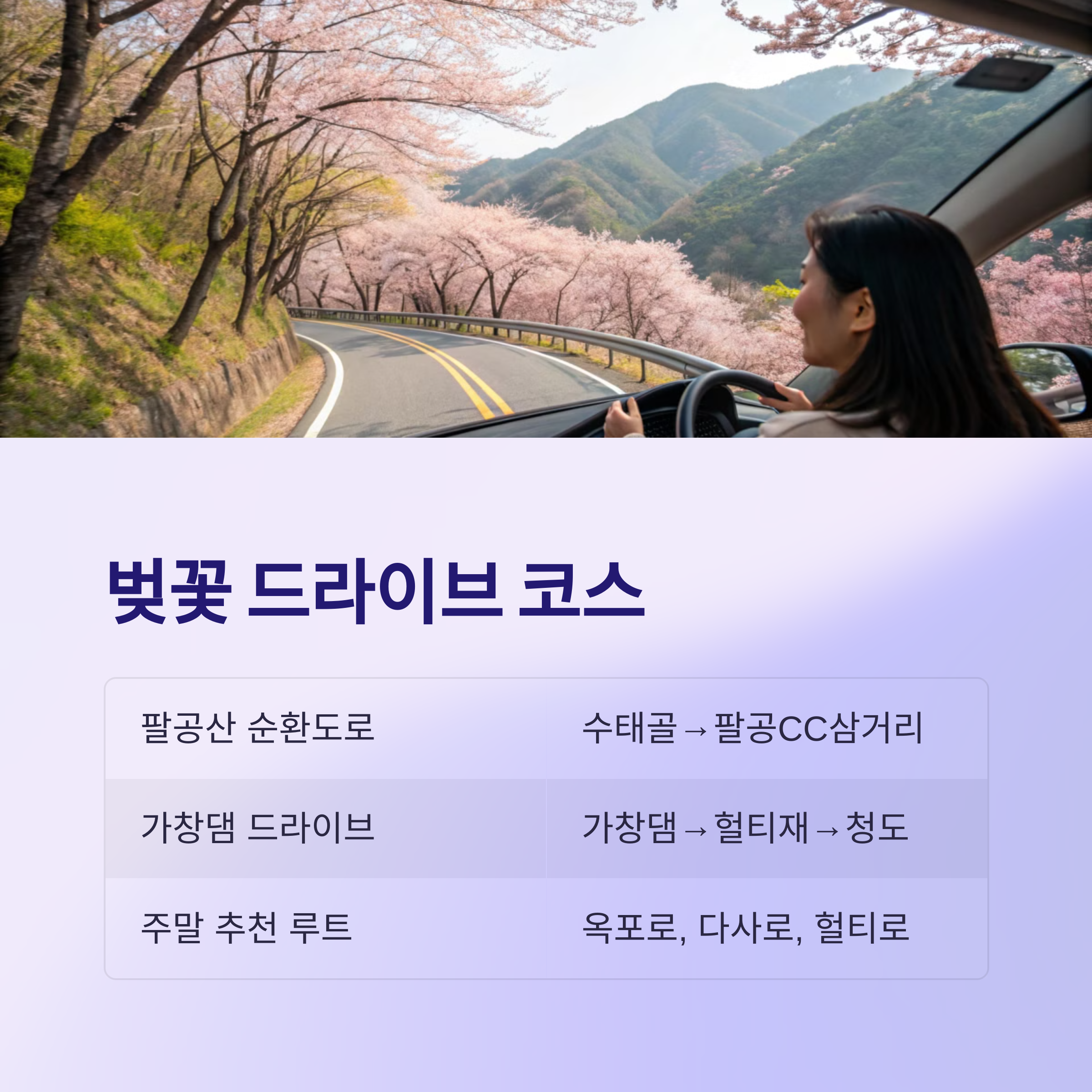 대구 벚꽃 드라이브 코스
