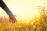 통신사 미환급금 조회 신청-9