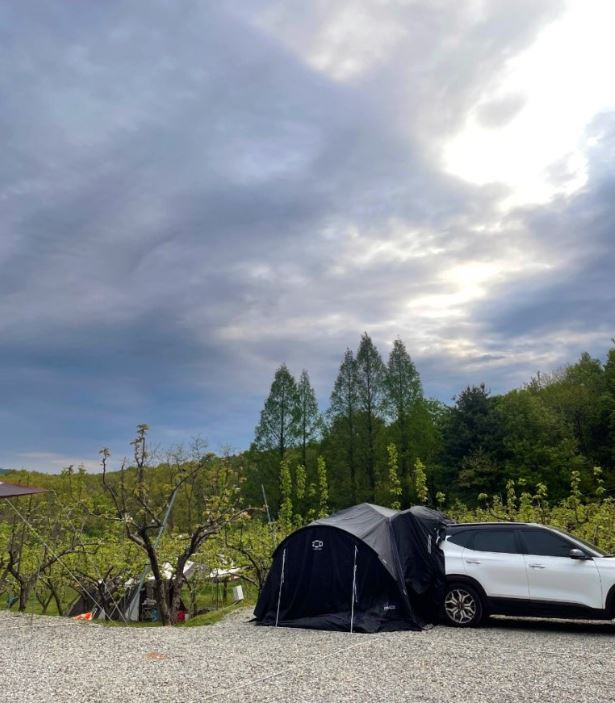 용인 숲속의 아침 캠핑장3