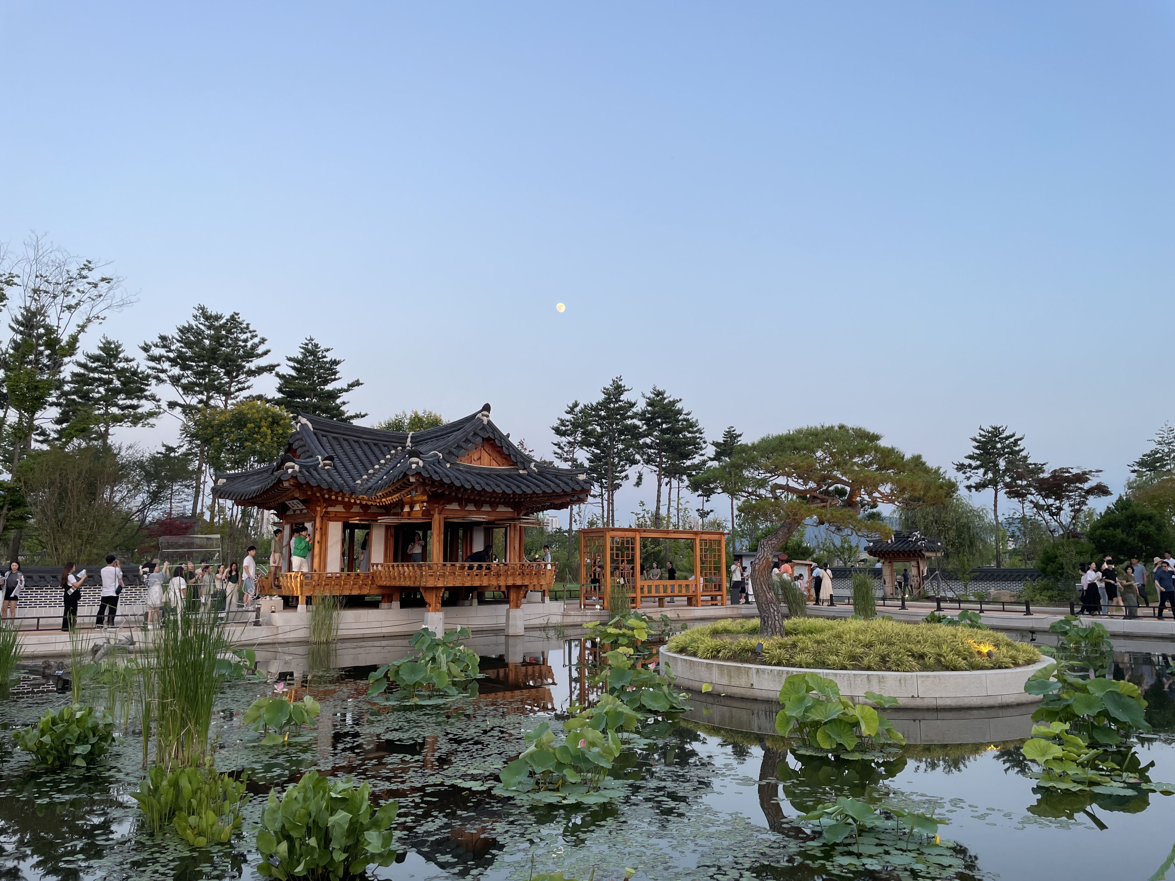 국립세종수목원 야간 반딧불 조명 별서정원 궁궐정원