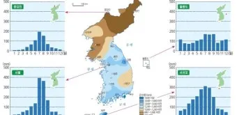 강수량 지도 실시간 확인 하수구 막힘 점검 방법_16