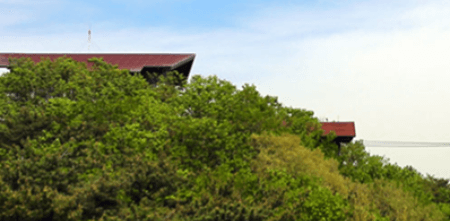 팔공산 케이블카 예약