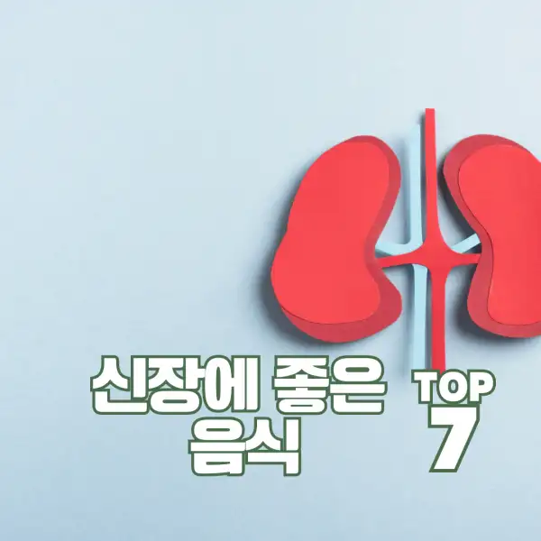 신장에 좋은 음식