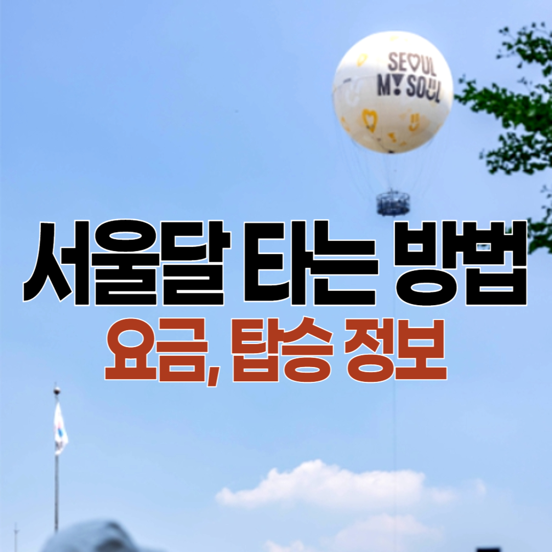 서울달 예약 여부 - 이용 요금, 현장 발권 방법