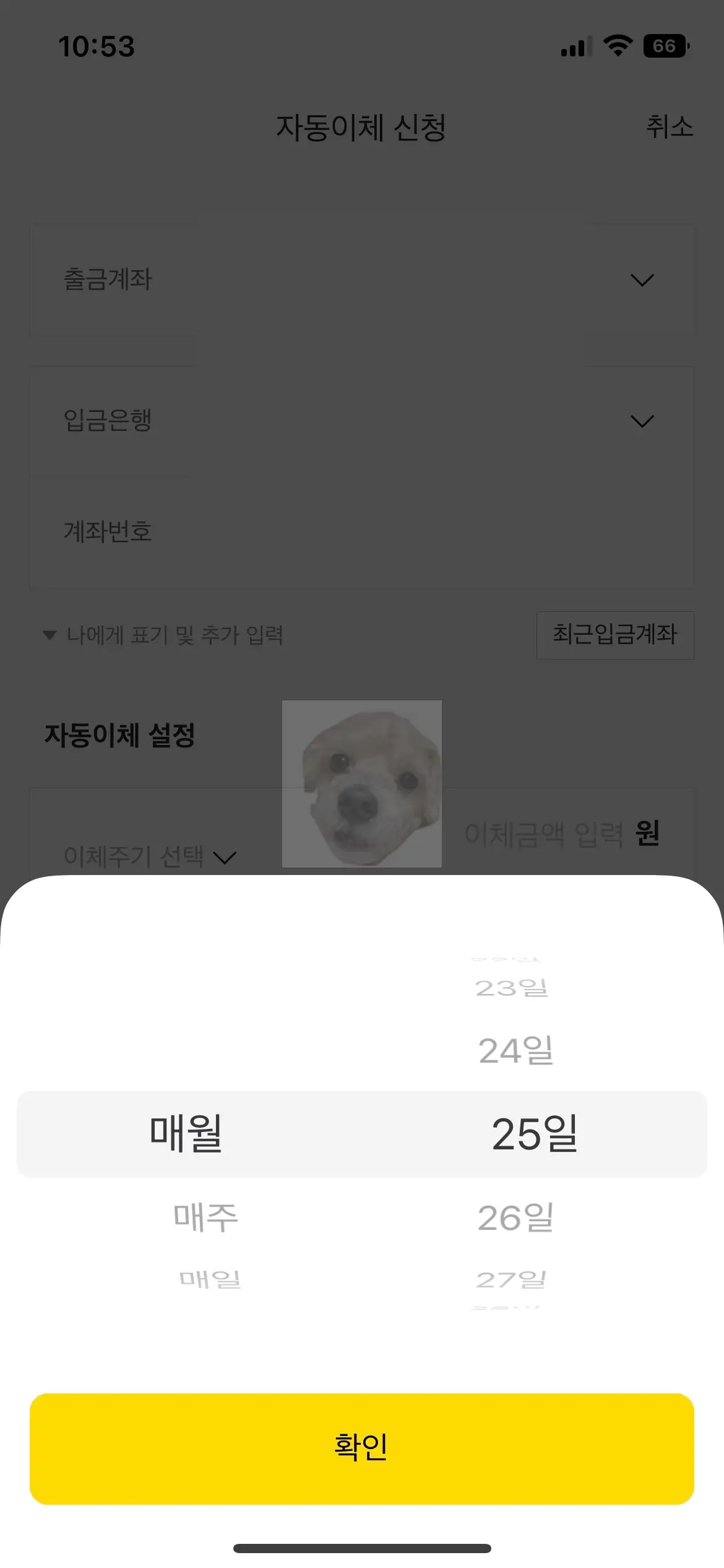 자동이체 주기 및 날짜 선택