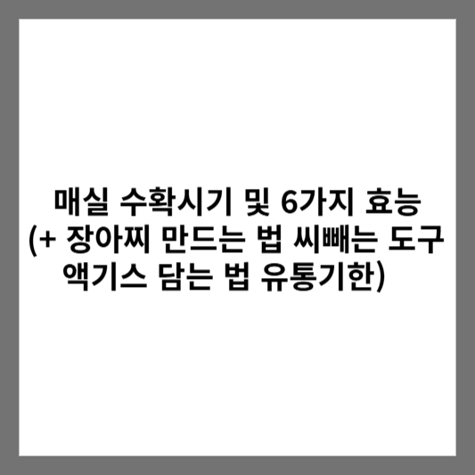 매실 수확 시기 및 6가지 효능 (+ 장아찌 만드는 법 씨 빼는 도구 엑기스 담는 법 유통기한)
