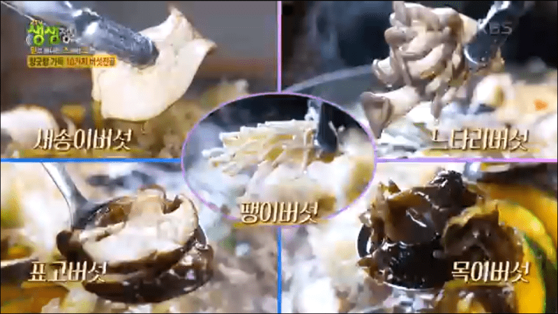 생생정보통 맛집 안내