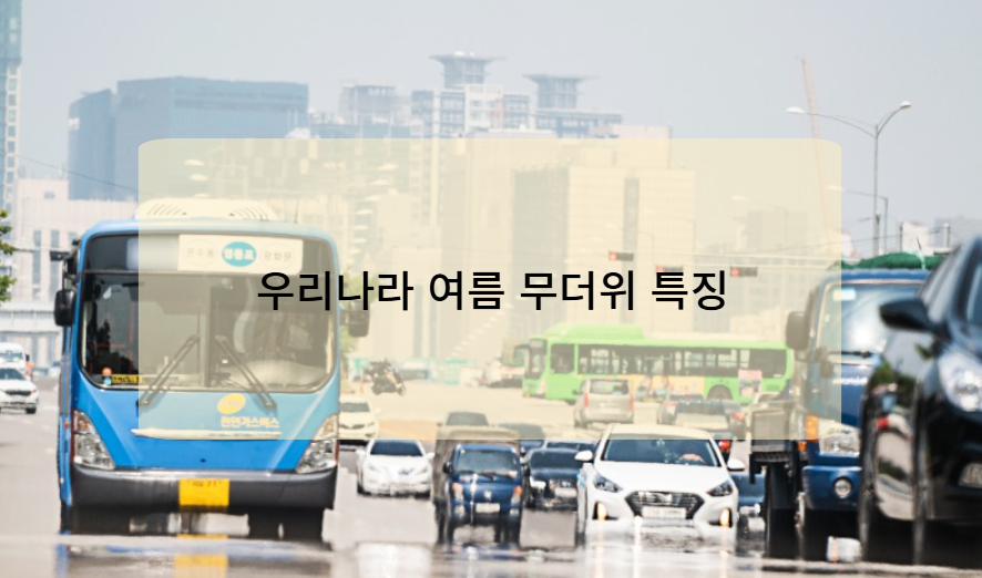우리나라 여름 무더위 특징