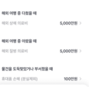 카카오 여행자 보험 보장