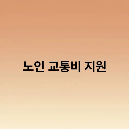 노인 교통비 지원