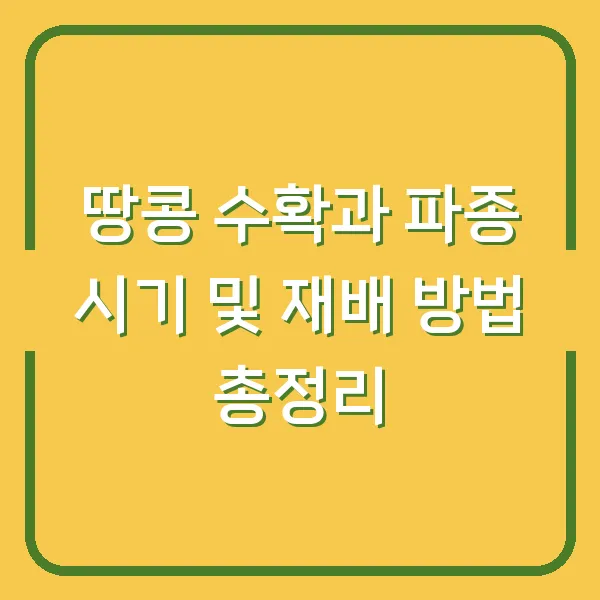 땅콩 수확과 파종 시기 및 재배 방법 총정리