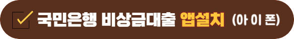 국민은행 비상금대출