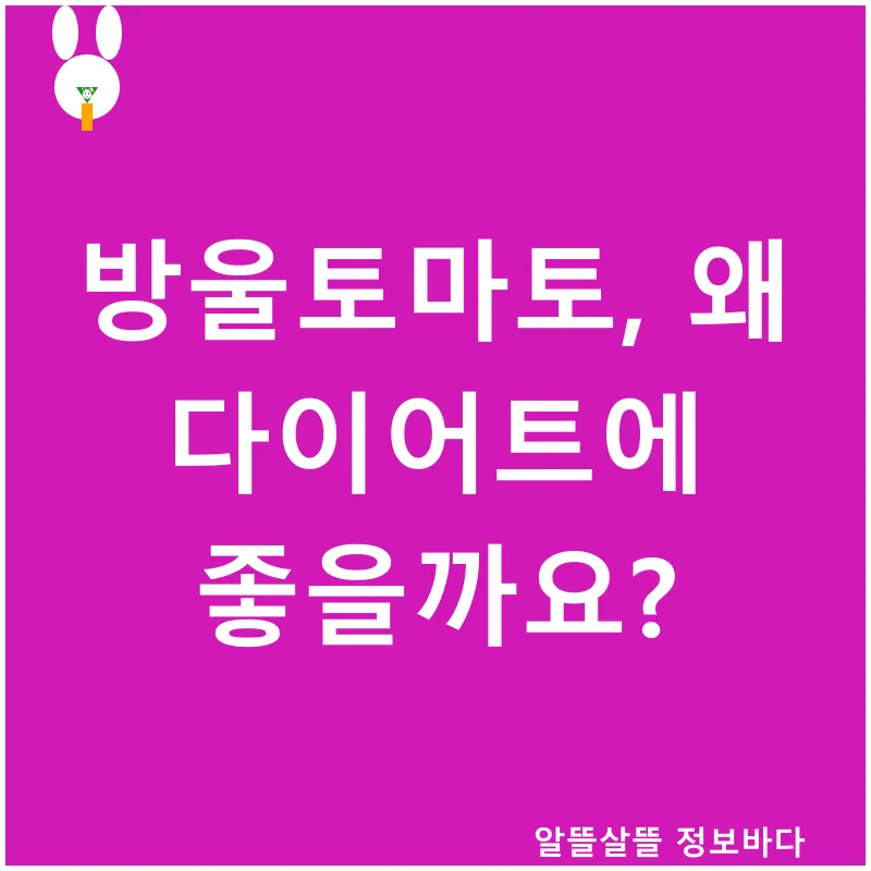 다이어트 레시피_1