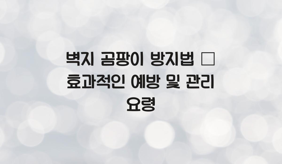 벽지 곰팡이 방지법