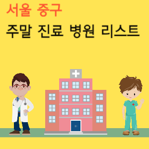 서울 중구 주말 진료 병원 리스트