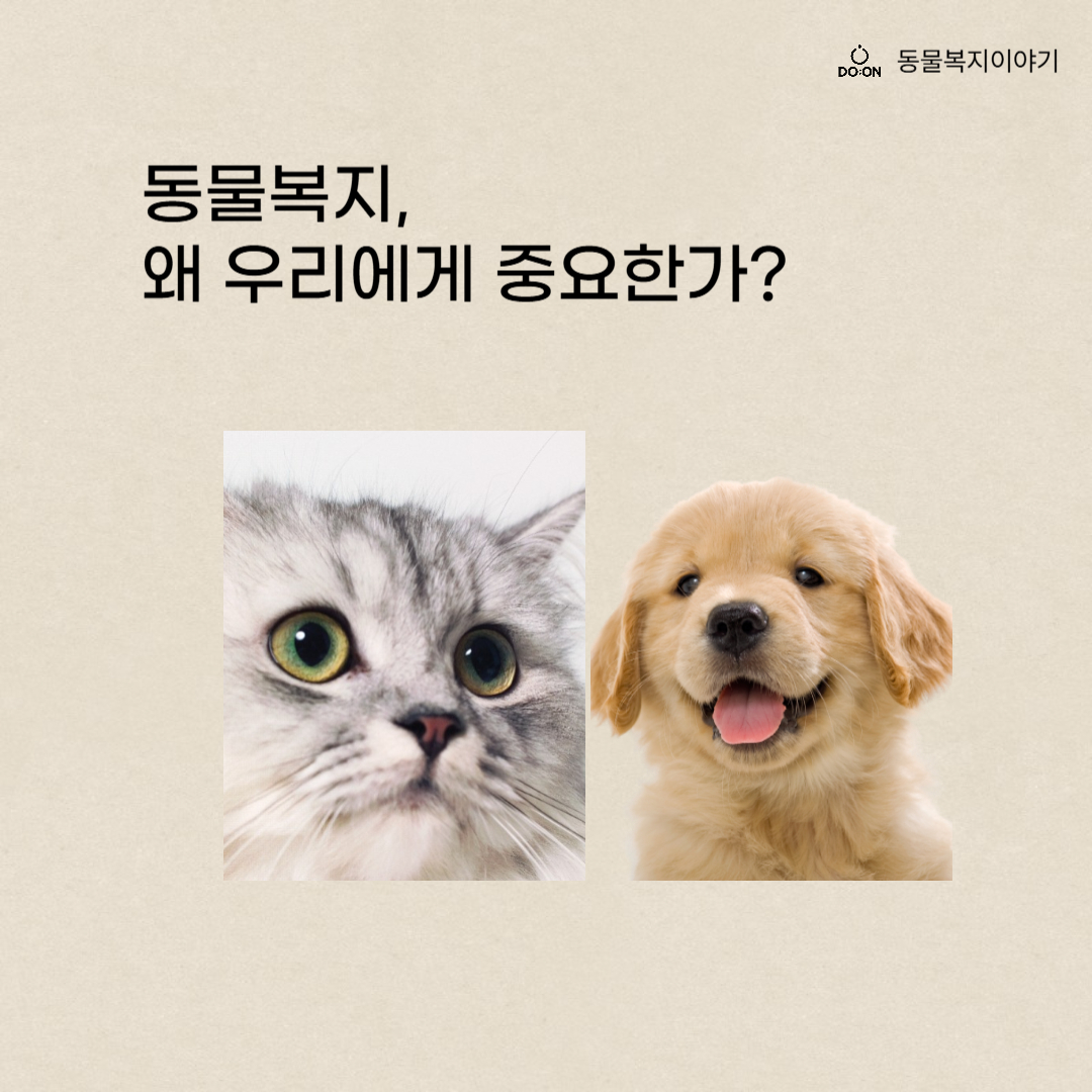 동물복지