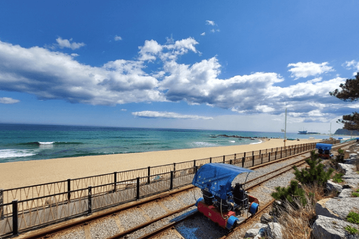 정동진-레일바이크