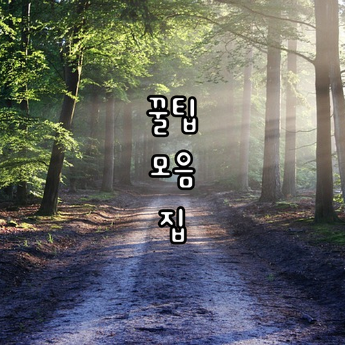 2025 영천시 임산부아기사랑택시: ..