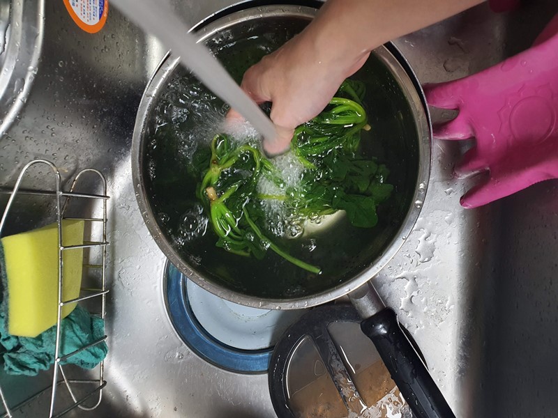 익힌 시금치 씻기