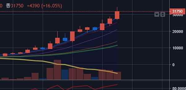 엑시인피니티-차트