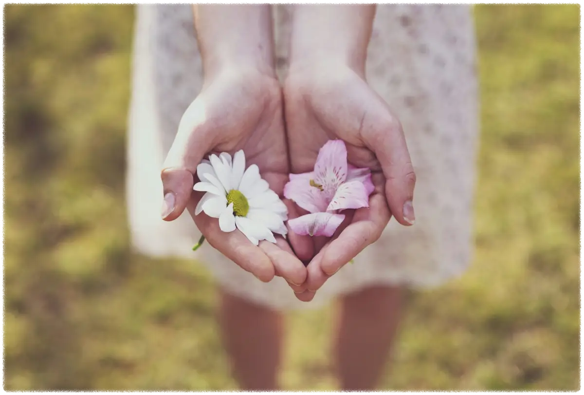 여성의-손바닥-위에-놓여져-있는-하얀꽃과-보라색꽃
