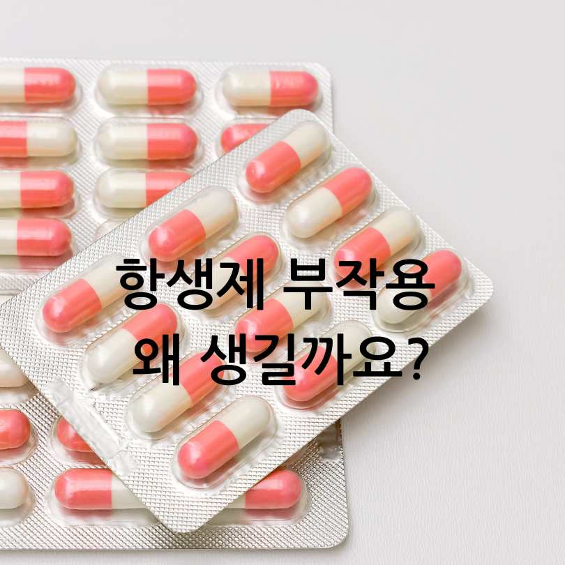 항생제 부작용