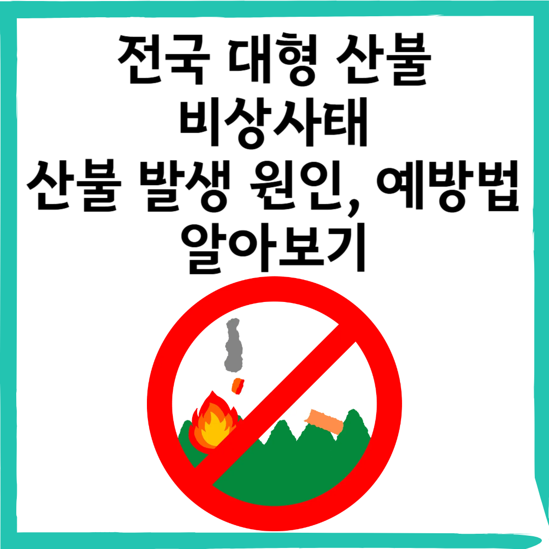 봄철 대형 산불이 많이 발생하는 이유와 예방 수칙