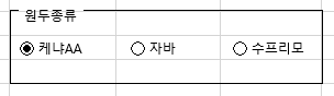 엑셀 옵션버튼 케냐AA 선택