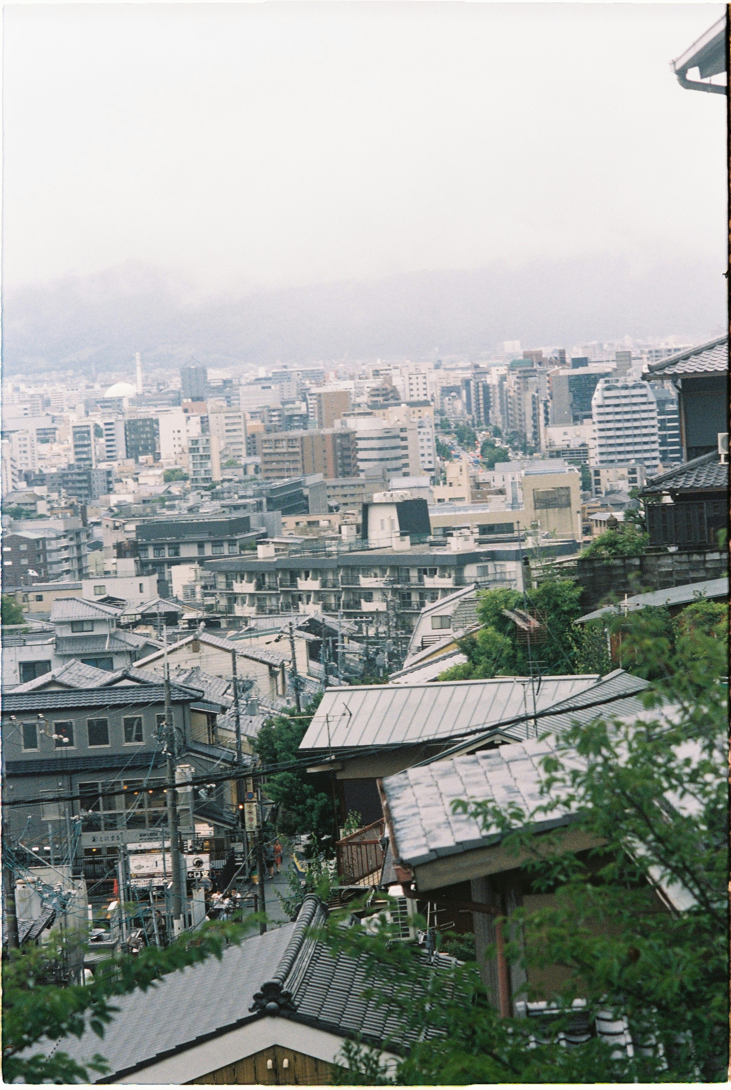 청년정책 정부 지원금