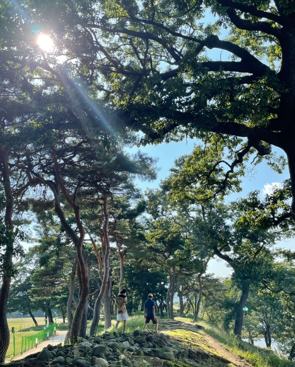 경주 반월성