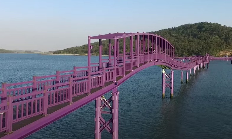 퍼플교
