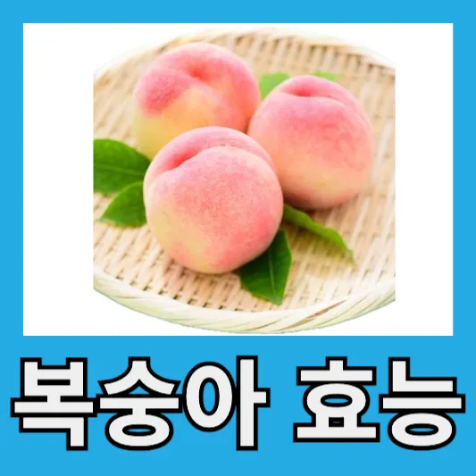 복숭아의 효능
