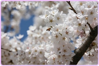 sk텔레콤 고객센터 전화번호