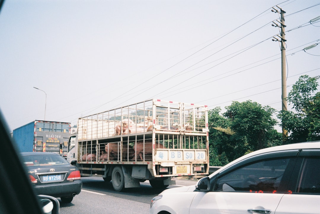 Low-emission vehicle