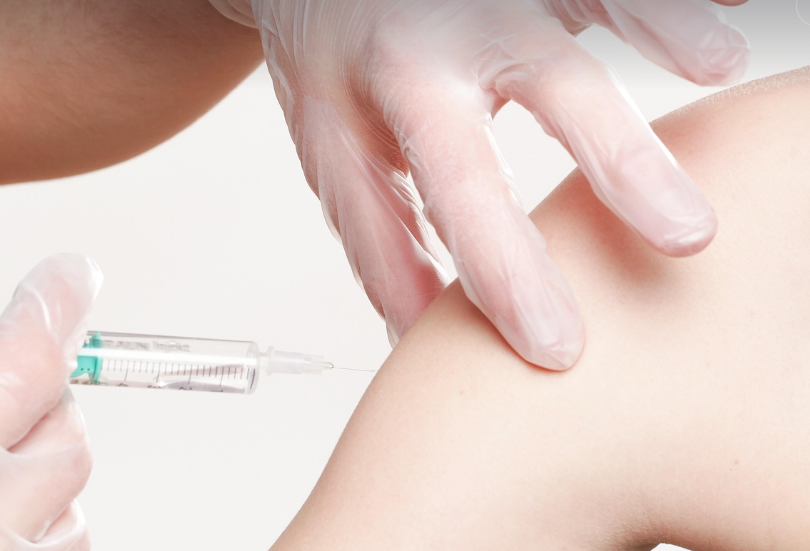 예방접종의 모습