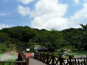 유명산 자연휴양림