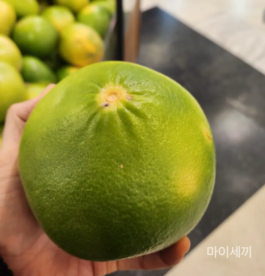 메로골드자몽 맛은?