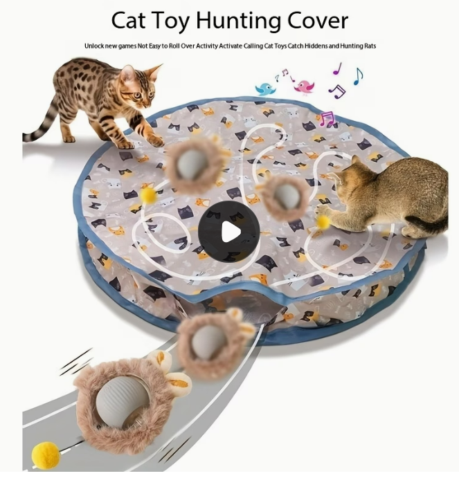 3️⃣ 고양이 장난감 2종 세트