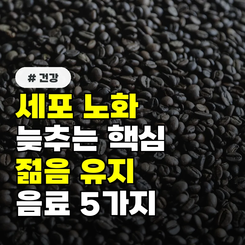 세포 노화 늦추는 핵심! 전문가가 추천하는 젊음 유지 음료 5가지